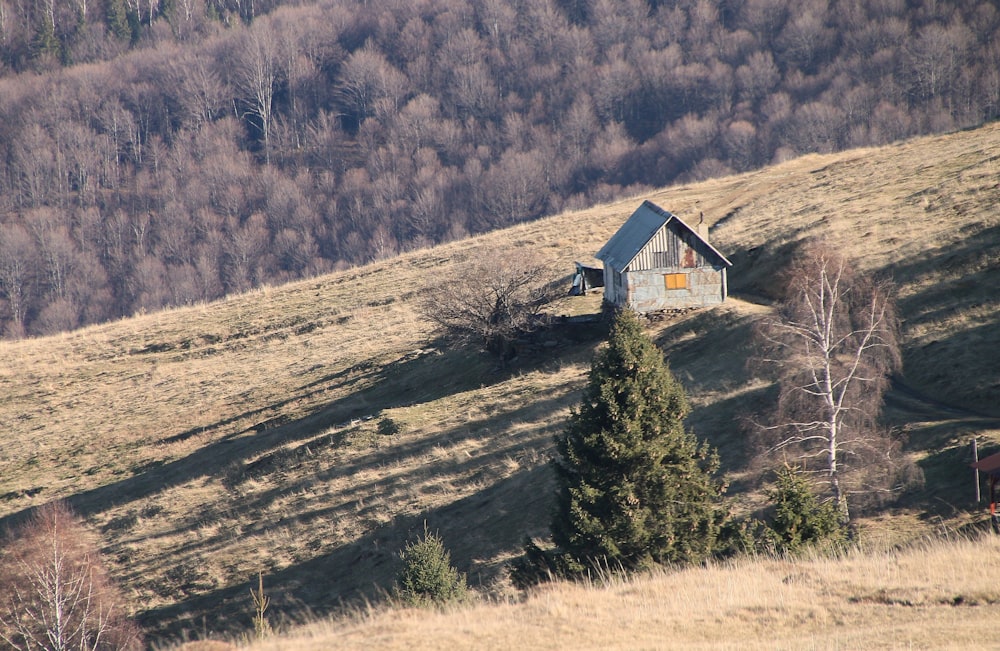 Una casa su una collina con alberi sullo sfondo