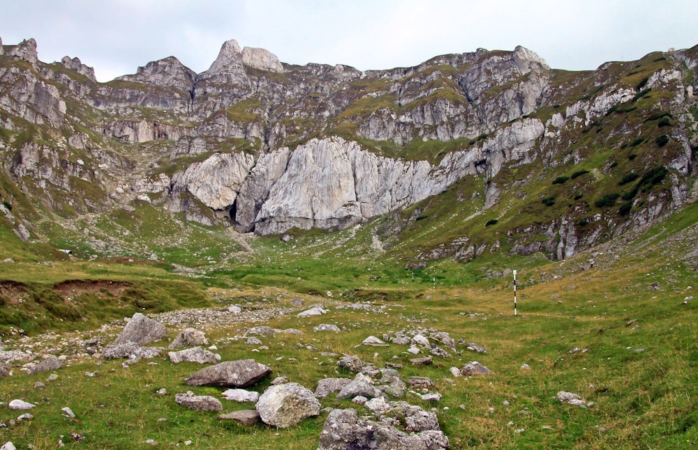 a grassy area with rocks and grass in front of a mountain