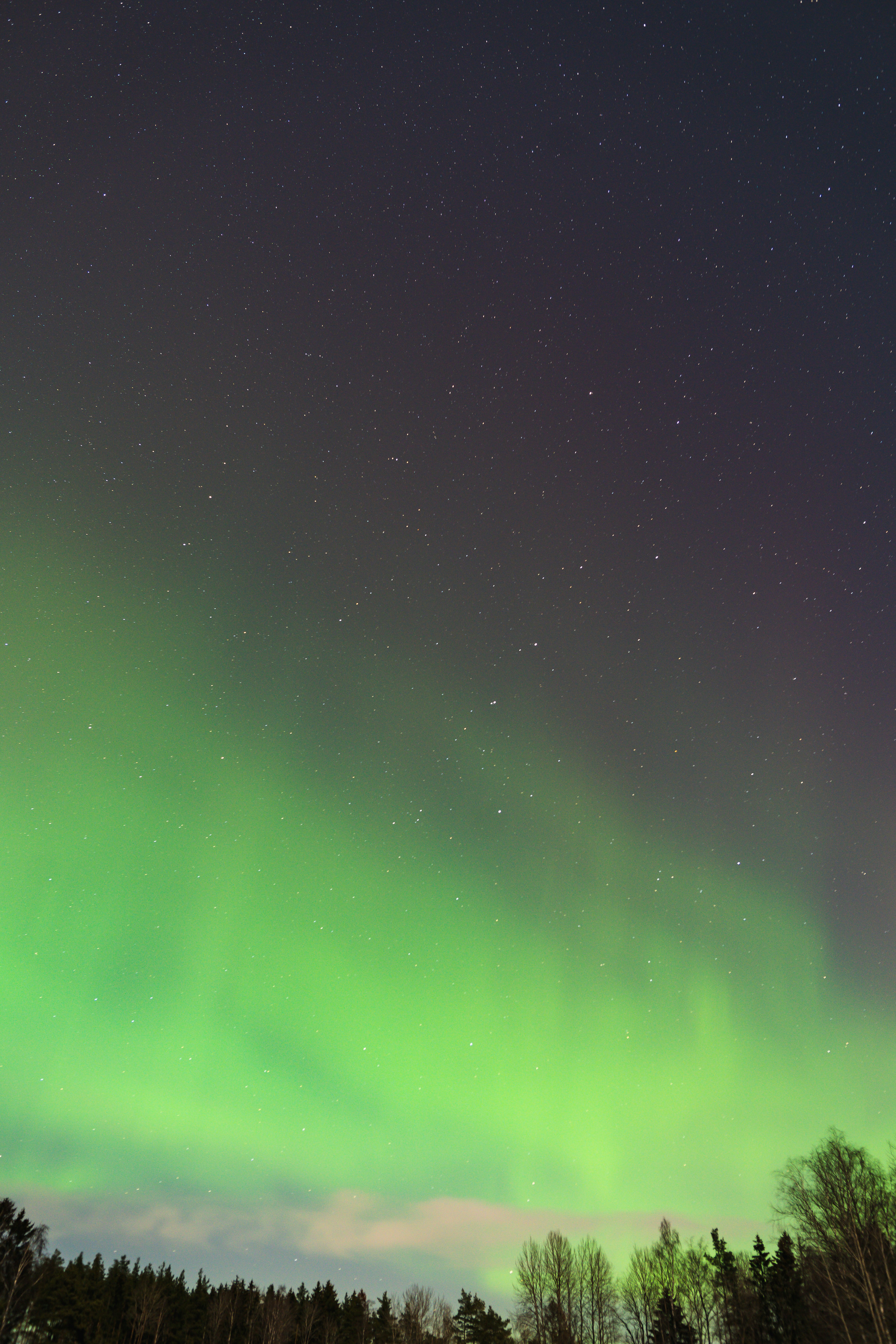 Photo by bionicdreamer