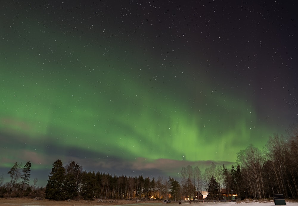 Una aurora verde perforó el cielo nocturno