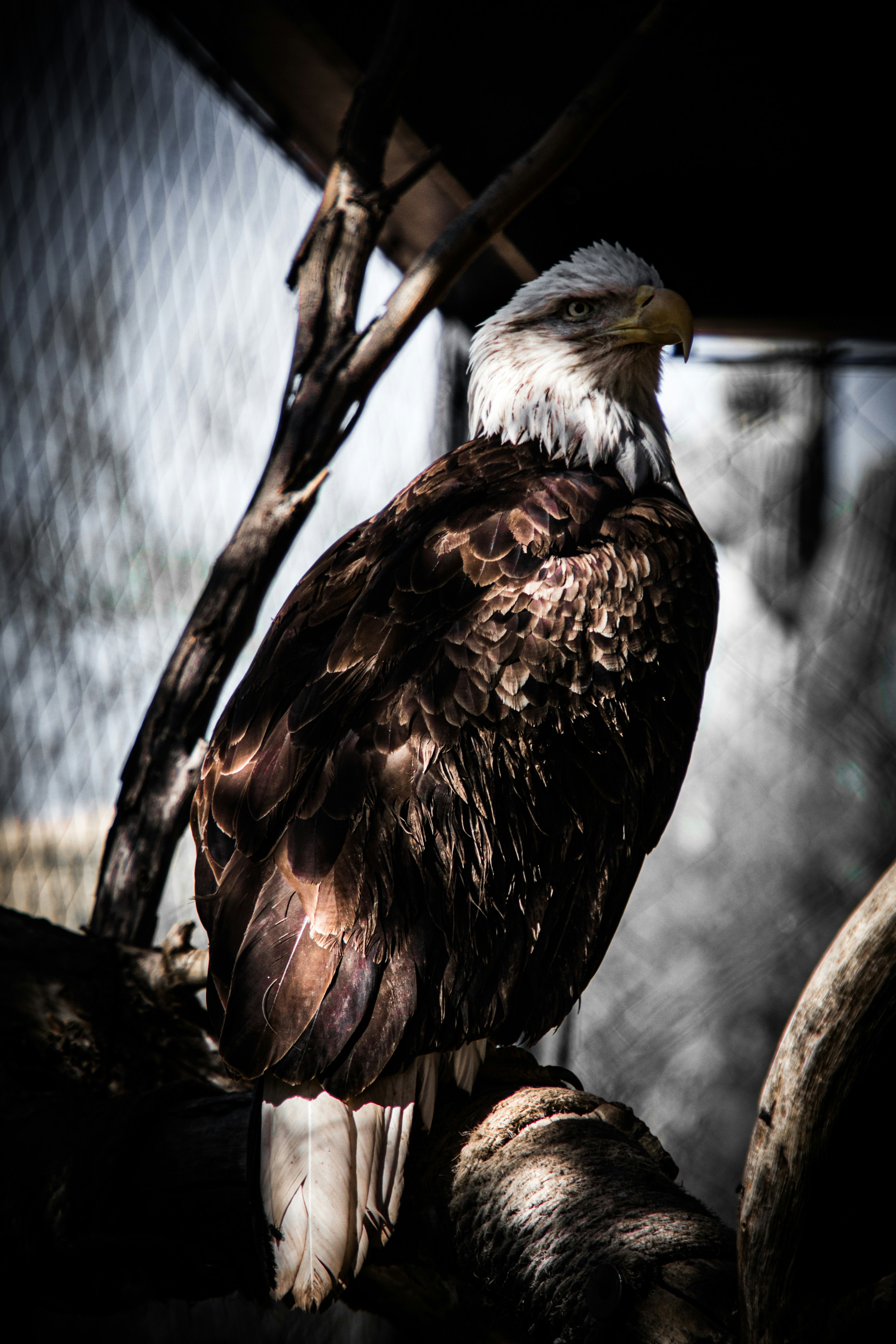 Photo by austonwimberly