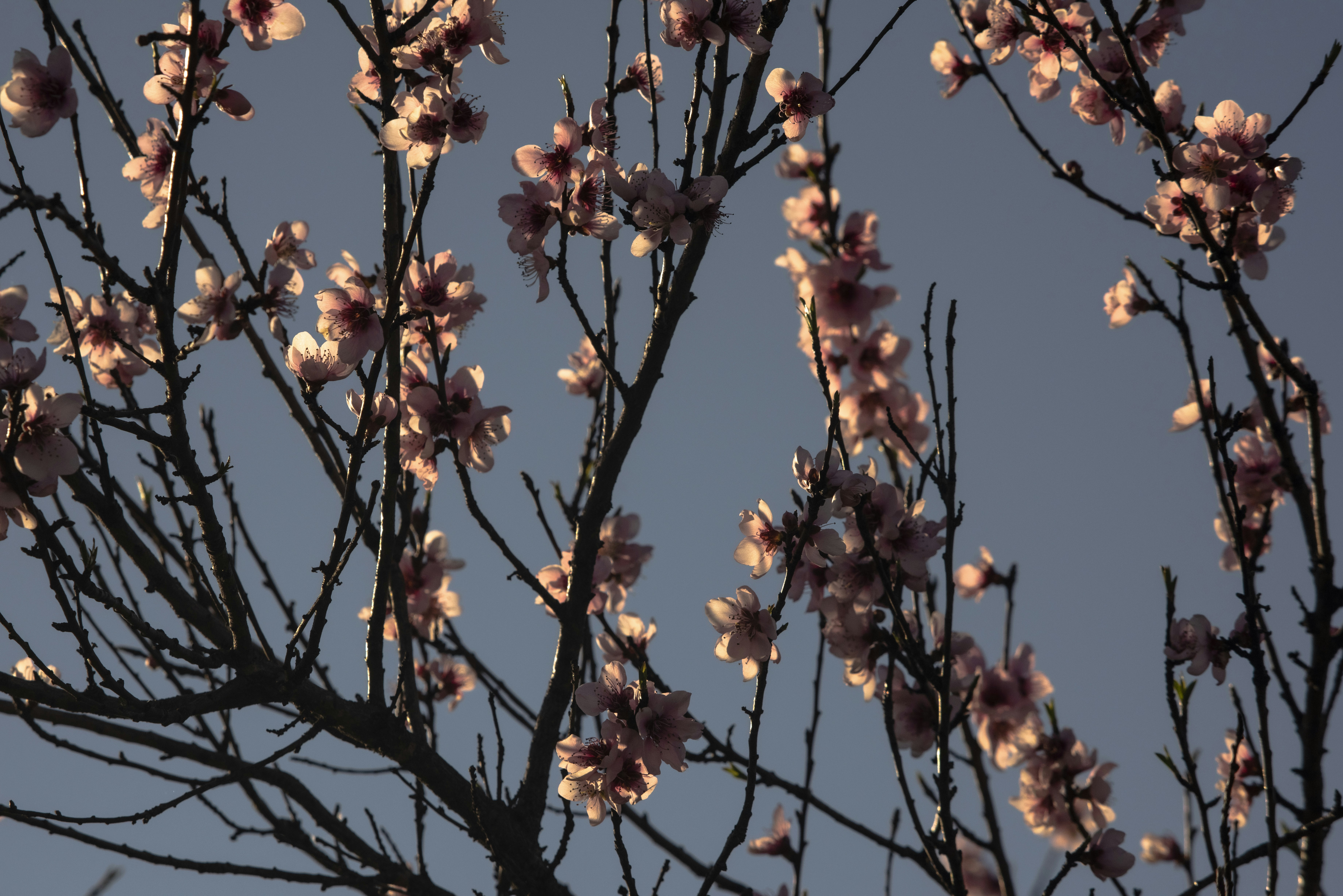 Photo by bruschyography