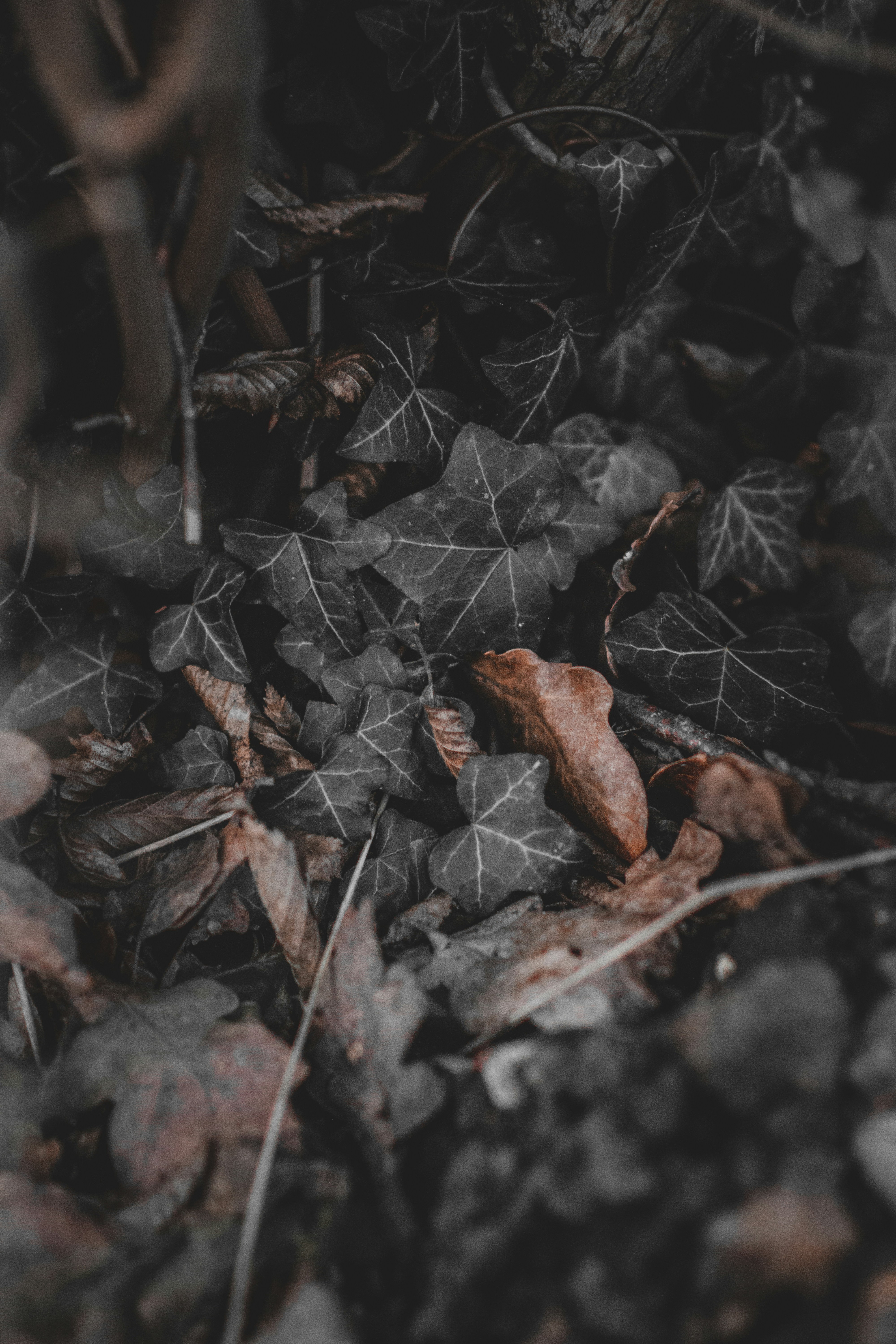 Photo by elliottmason