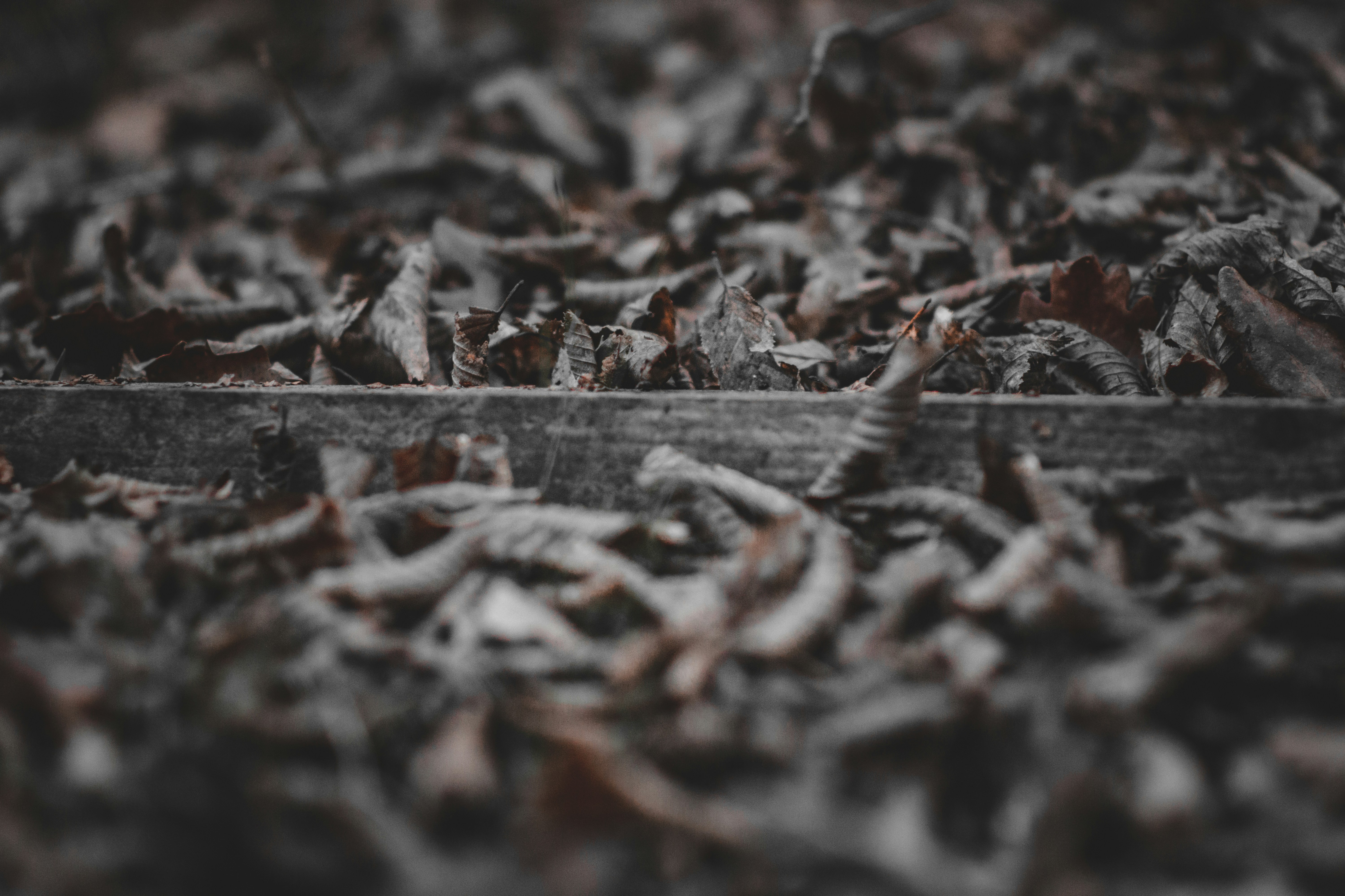 Photo by elliottmason