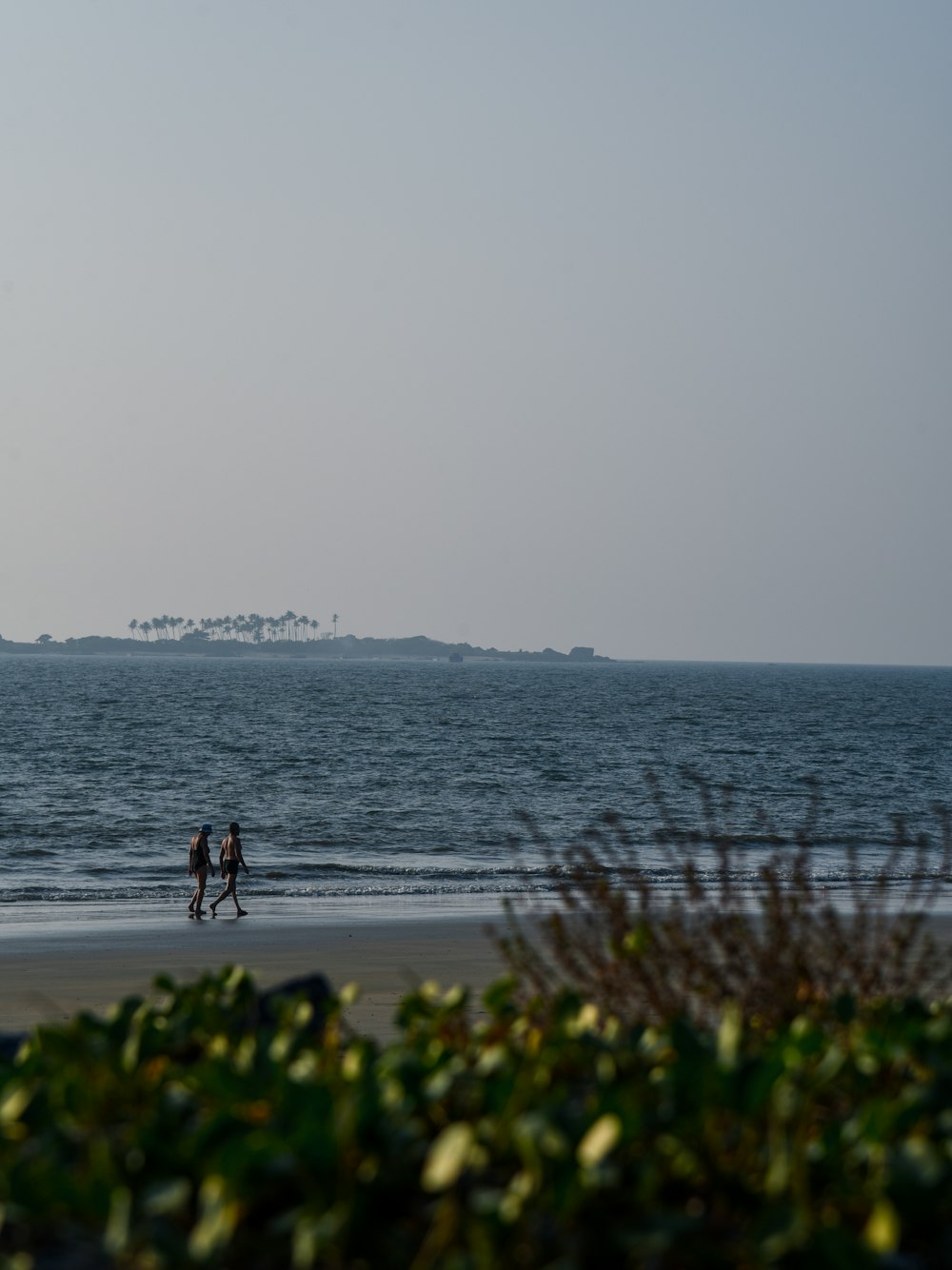 a couple of people walking along a beach next to the ocean