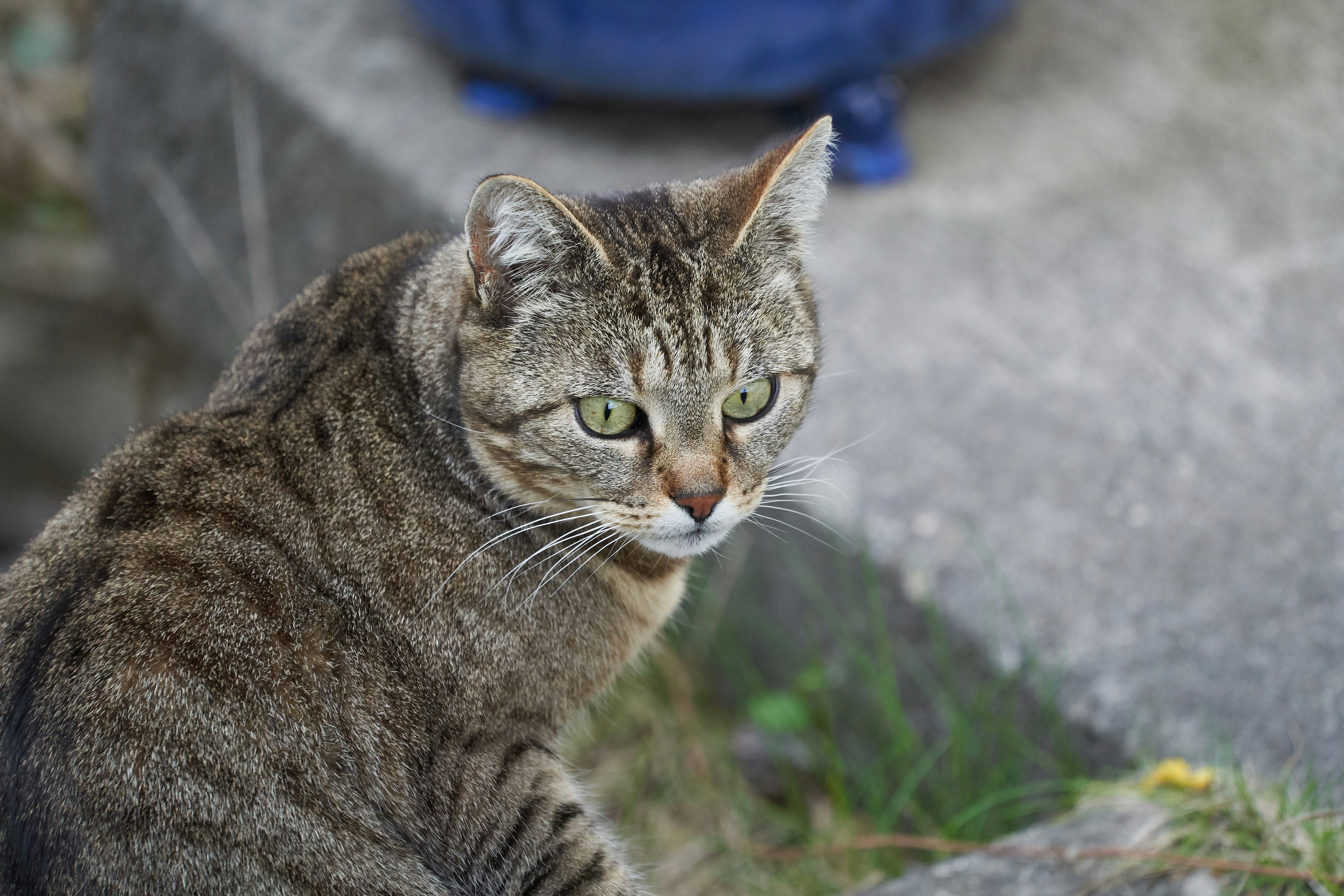 Photo by wolfgang_hasselmann