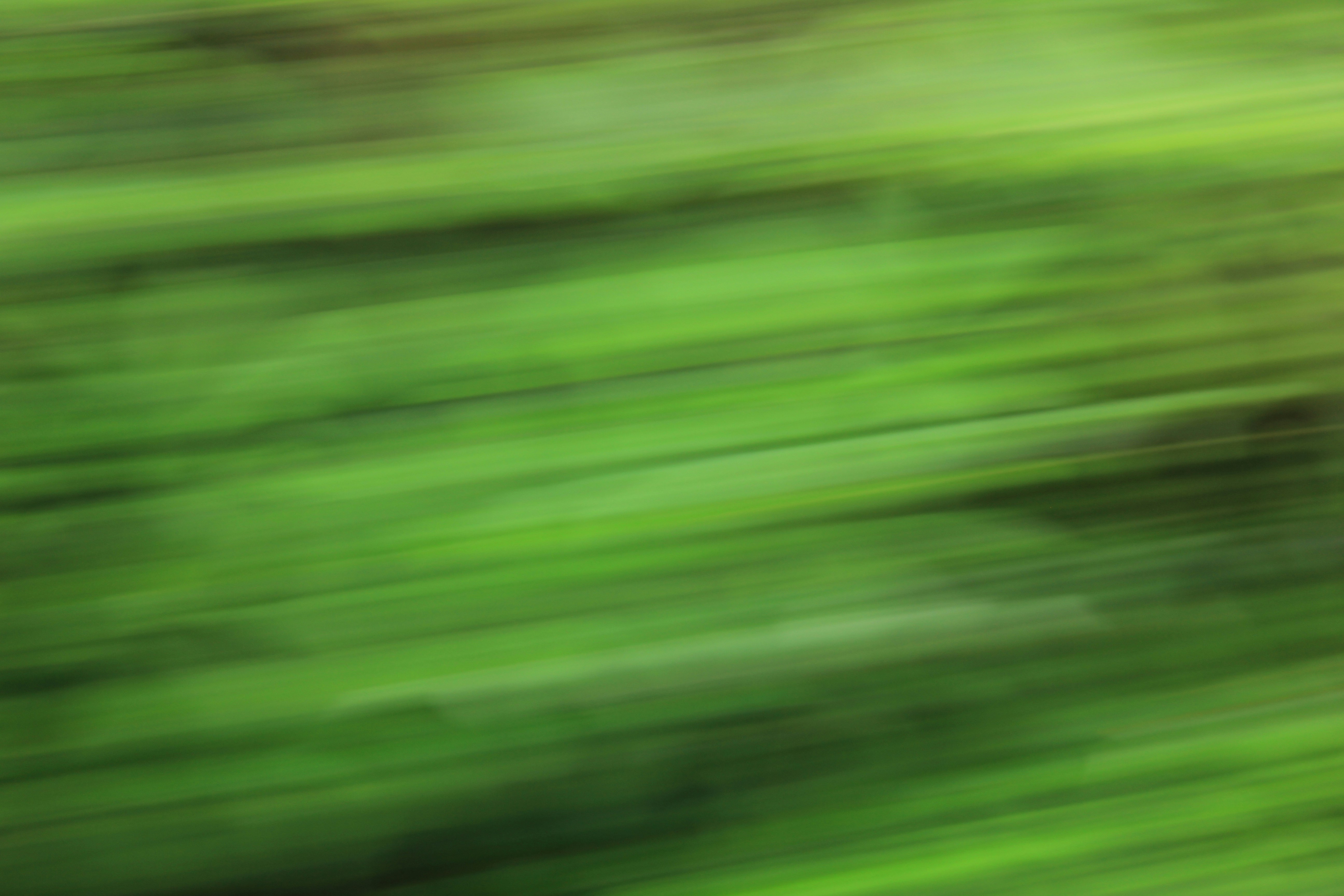 Photo by amolvalimbe