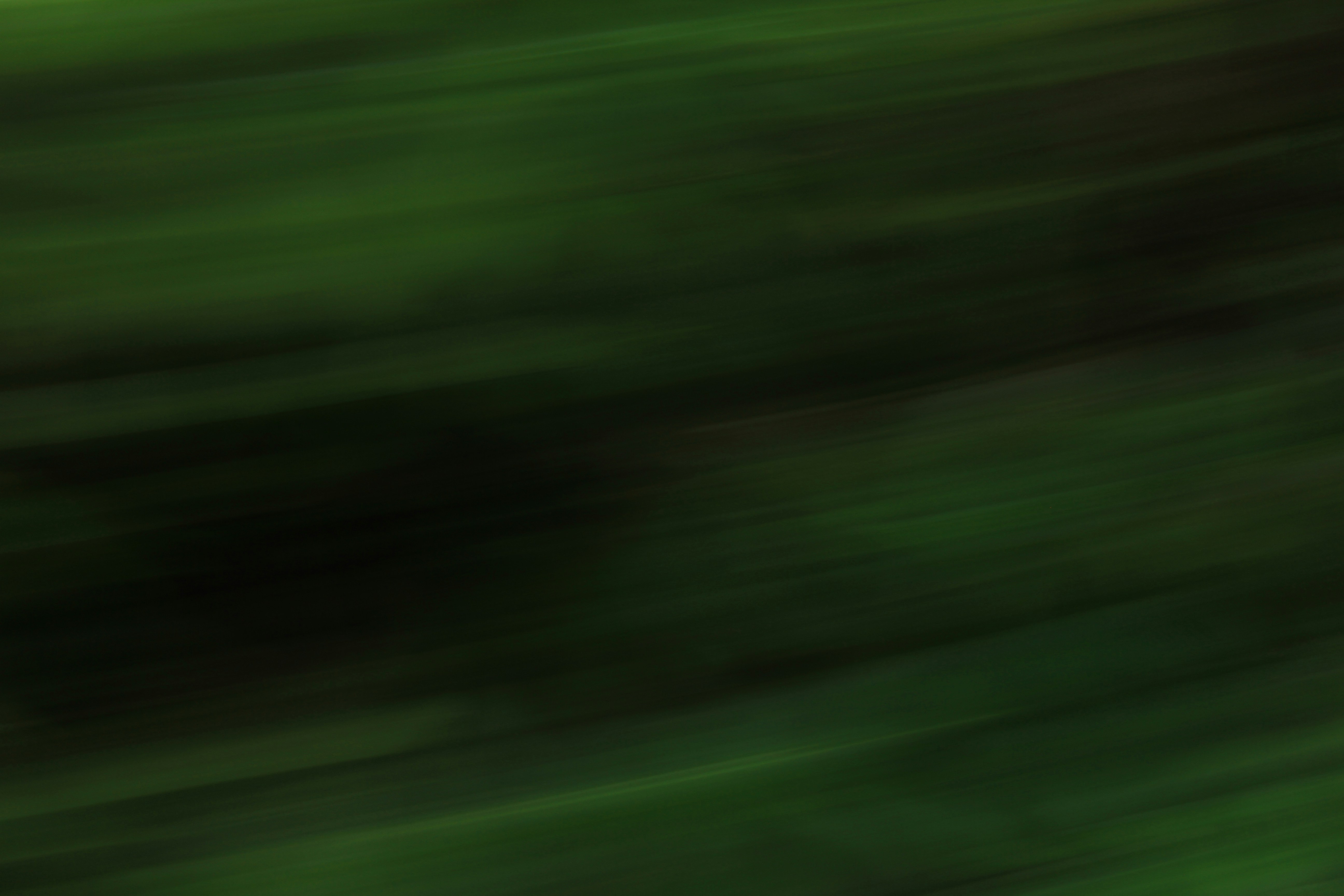 Photo by amolvalimbe