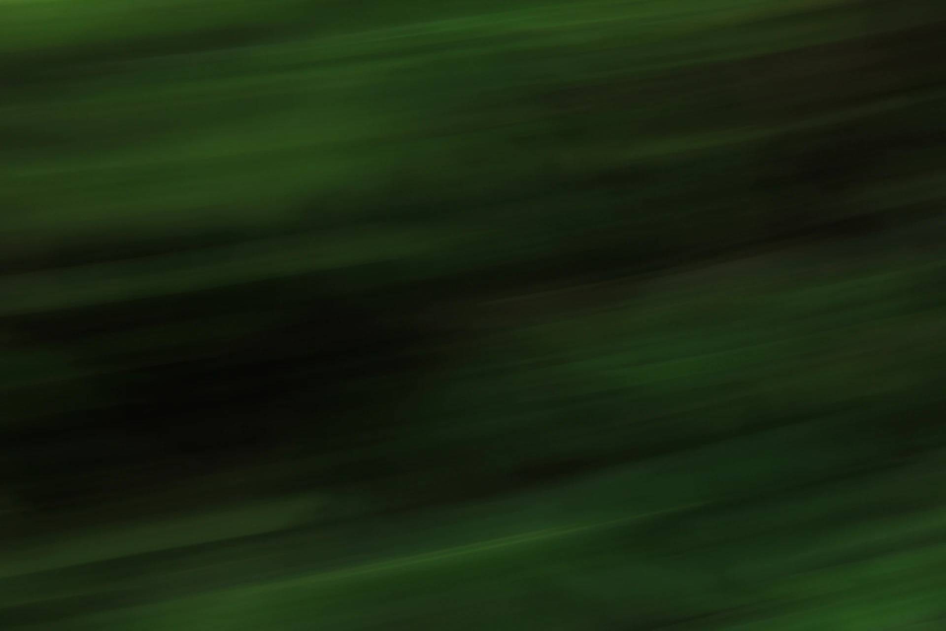 a blurry photo of a bird flying in the air