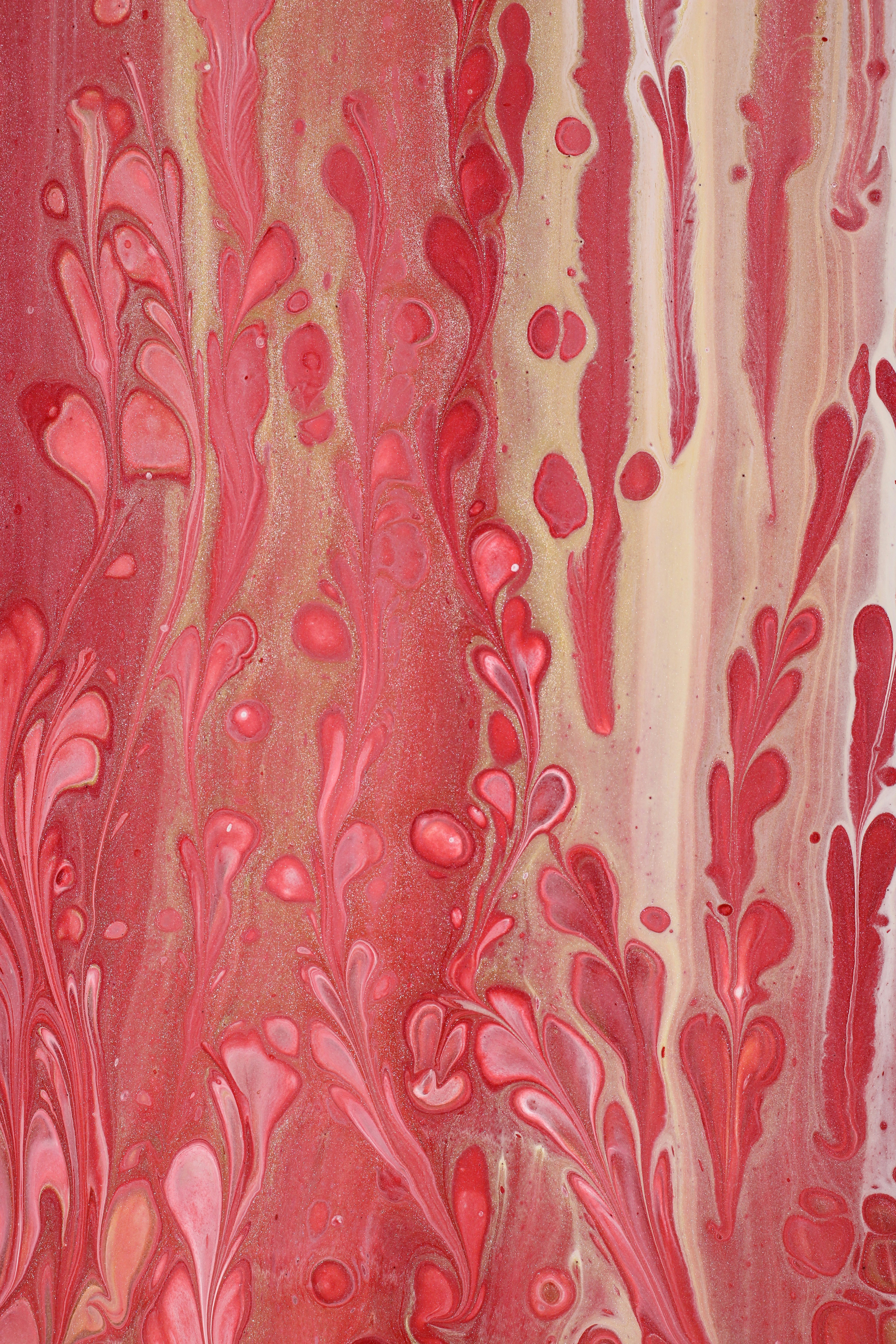 Photo by susan_wilkinson