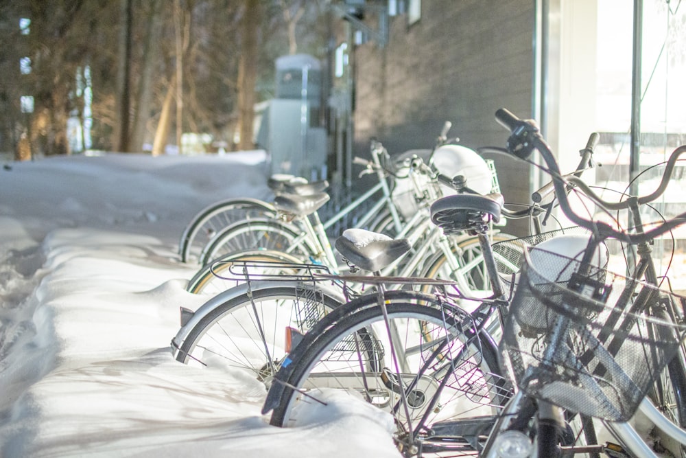 a row of bicycles parked next to each other