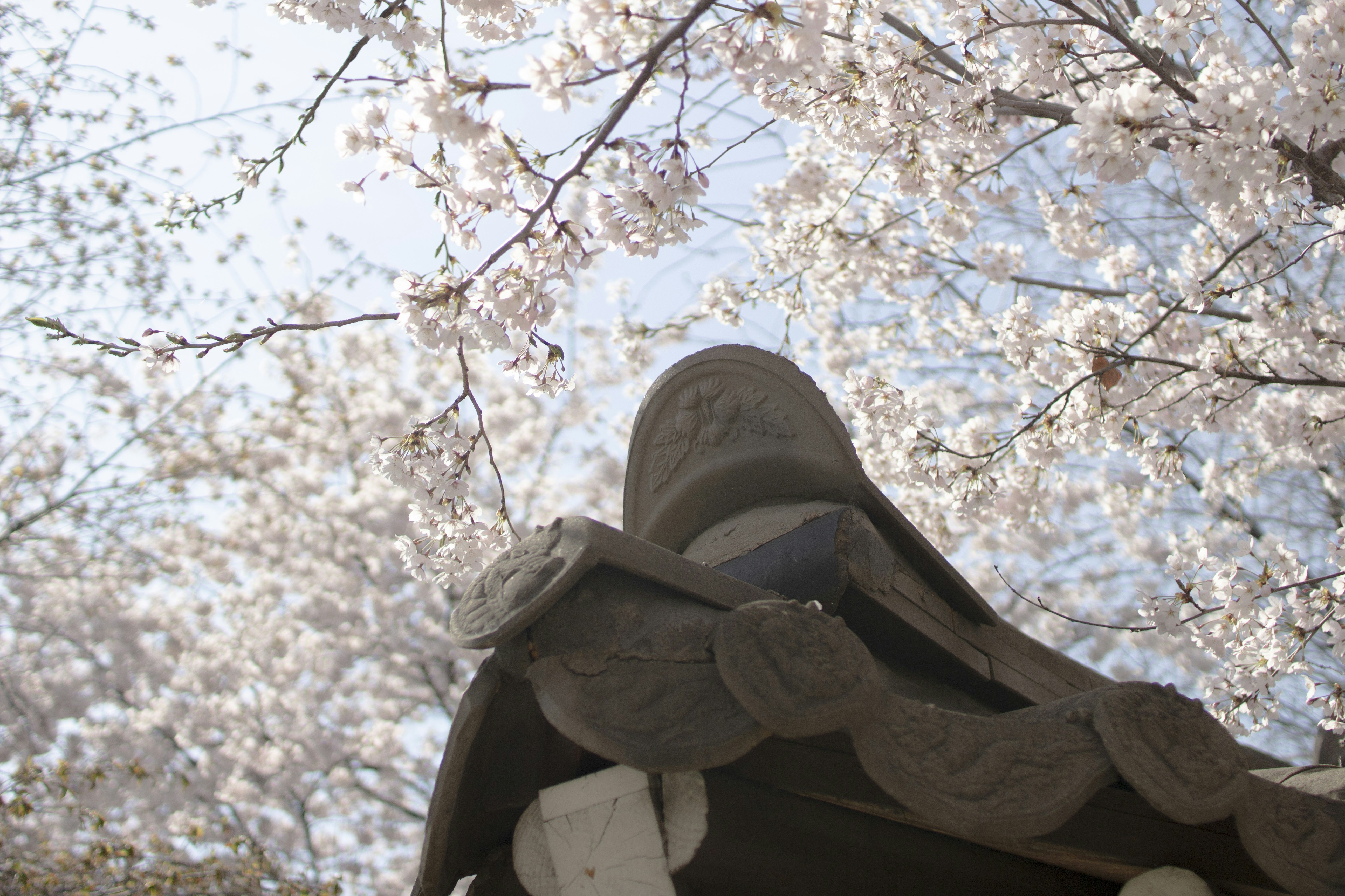 Photo by pushingho