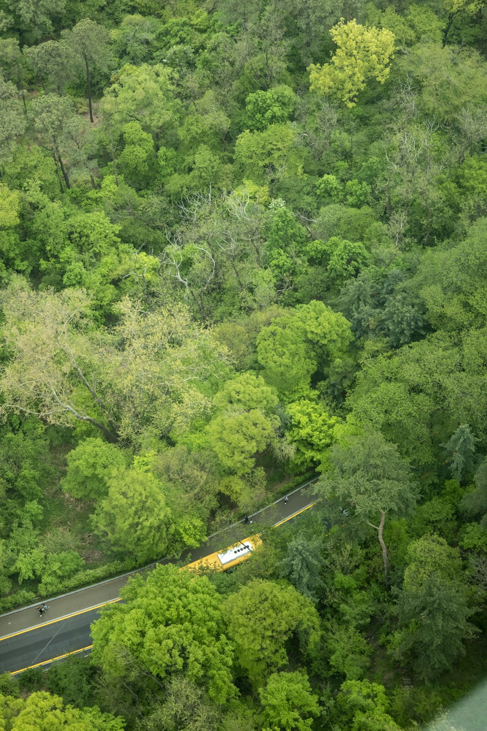 an aerial view of a road surrounded by trees