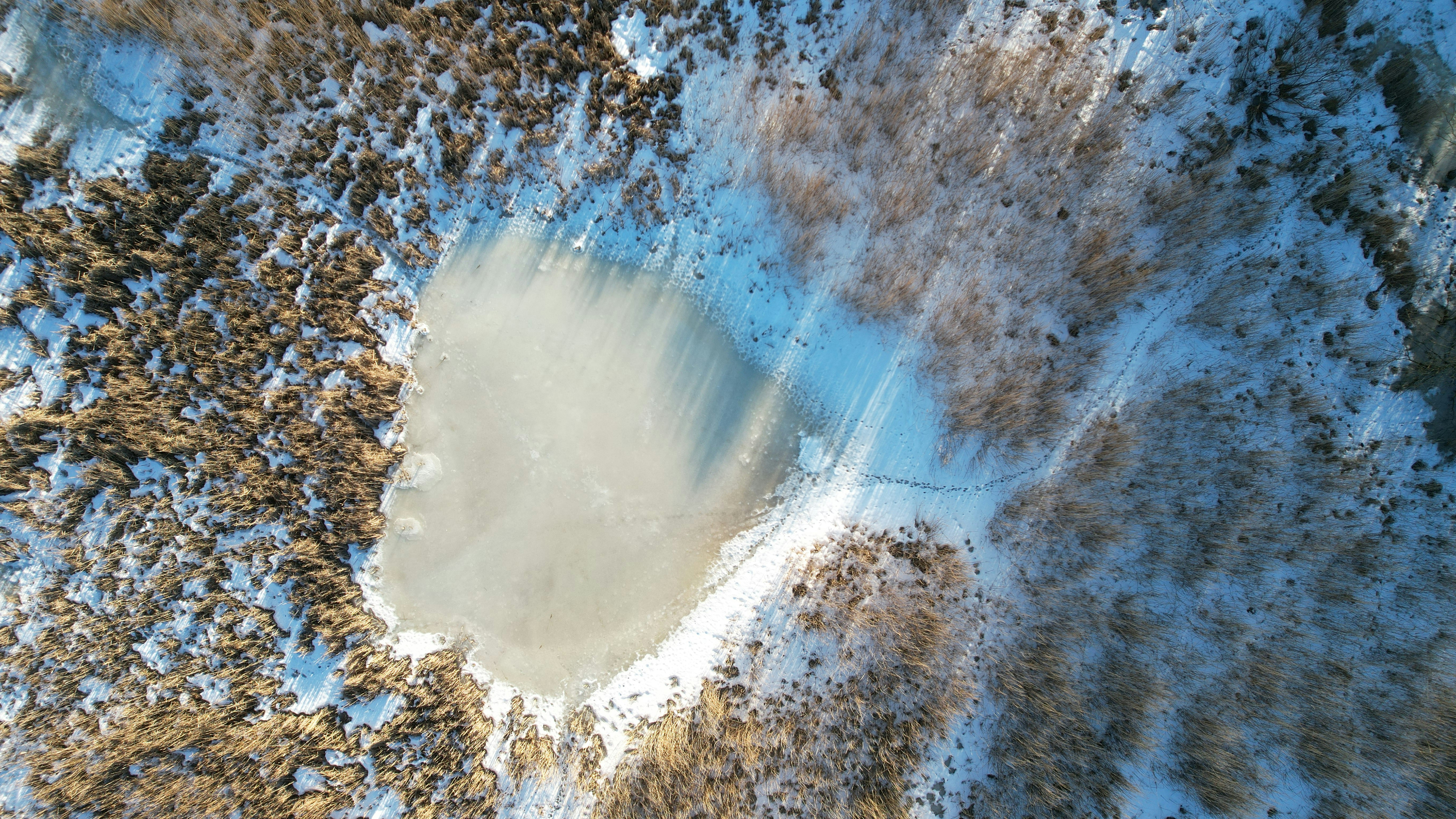 A frozen lake with animal tracks leading to it