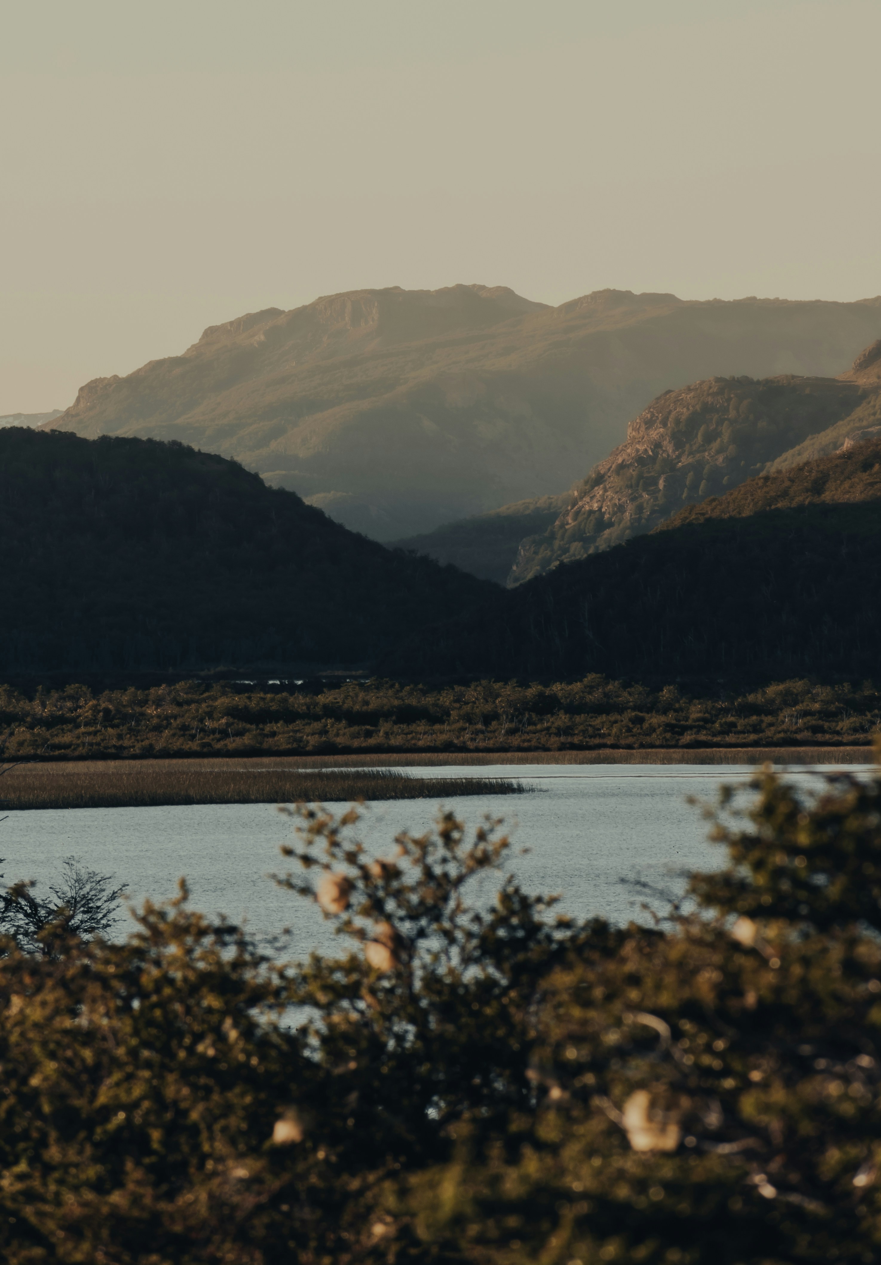 Photo by gasparzaldo