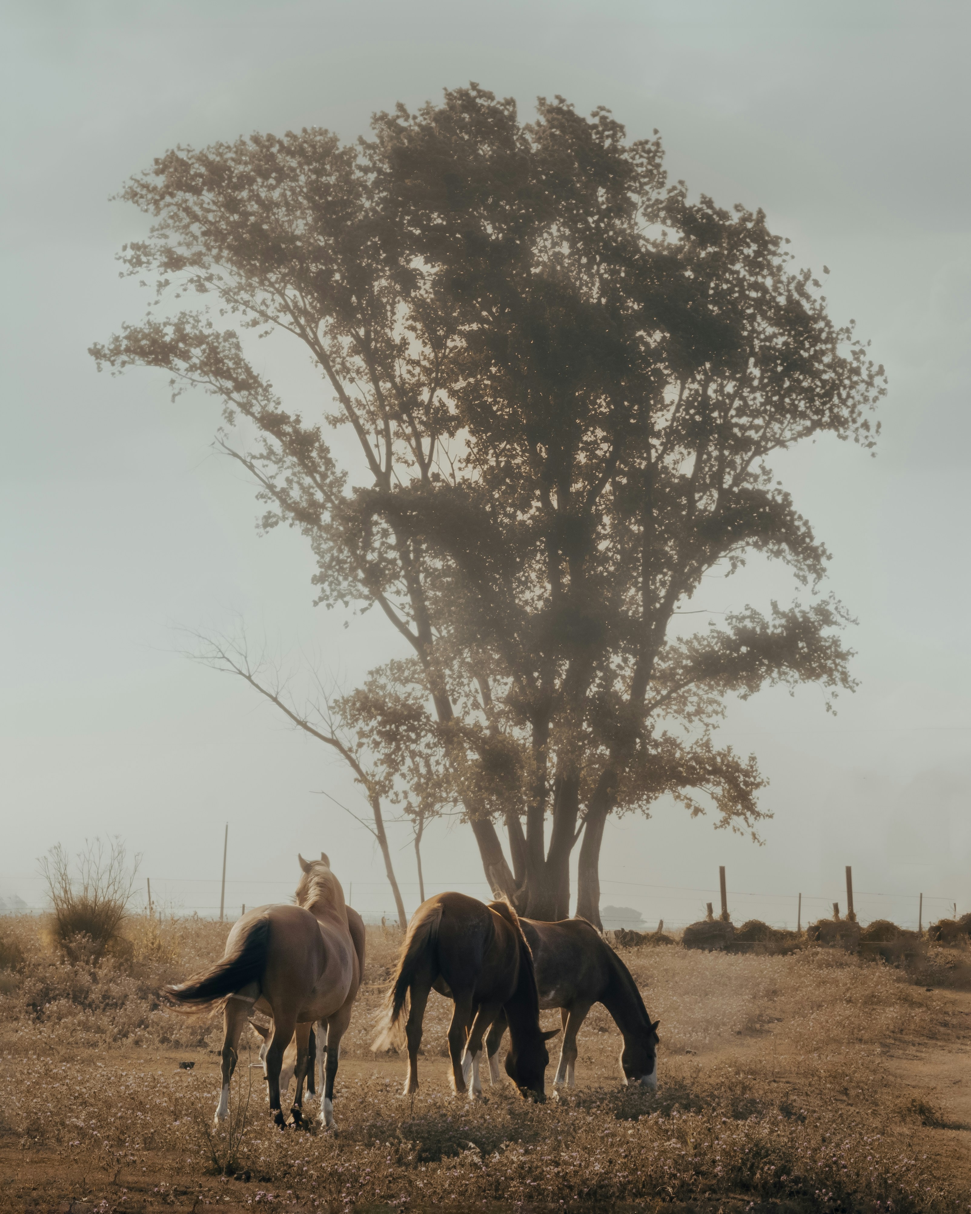 Photo by gasparzaldo
