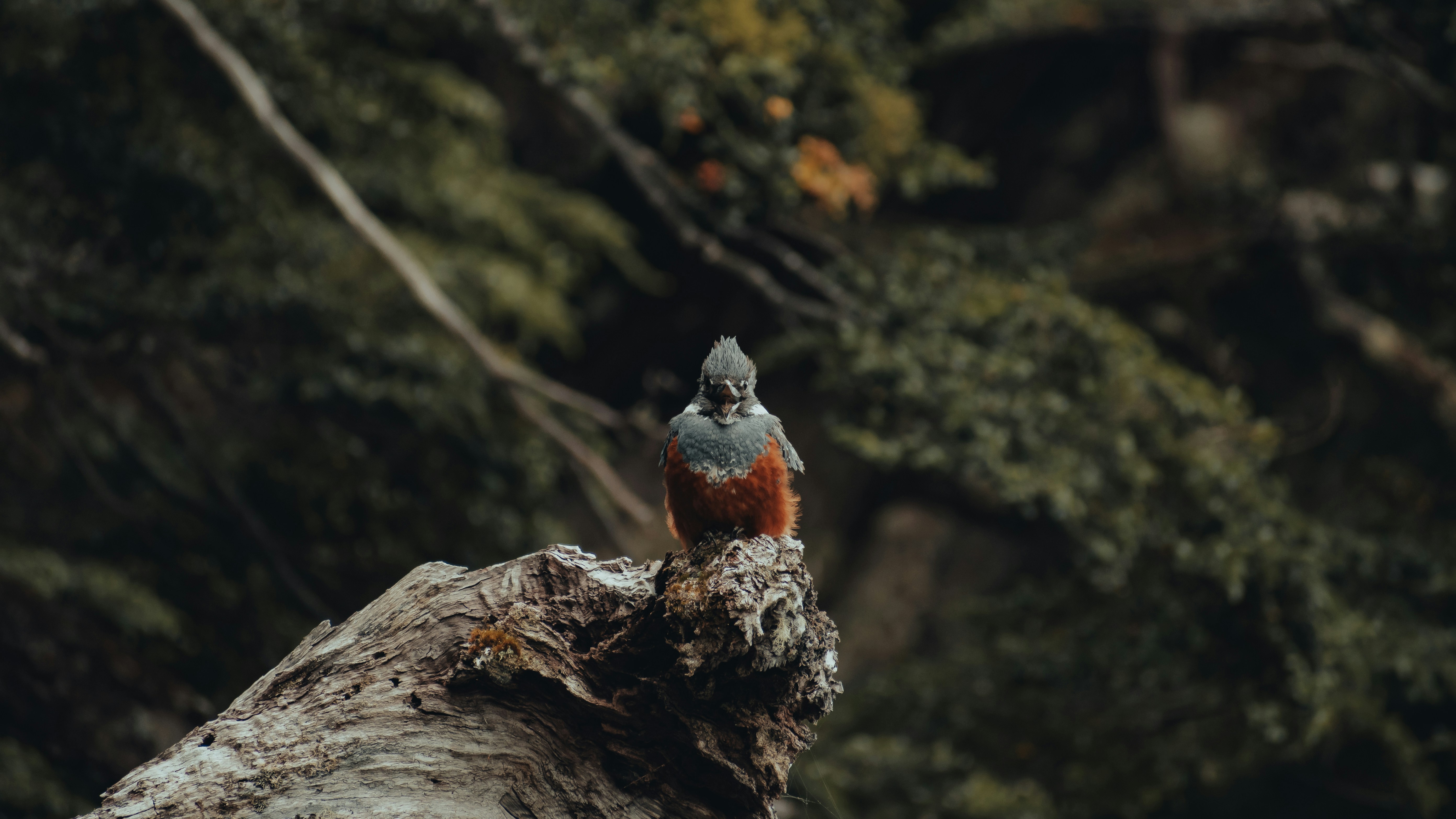 Photo by gasparzaldo