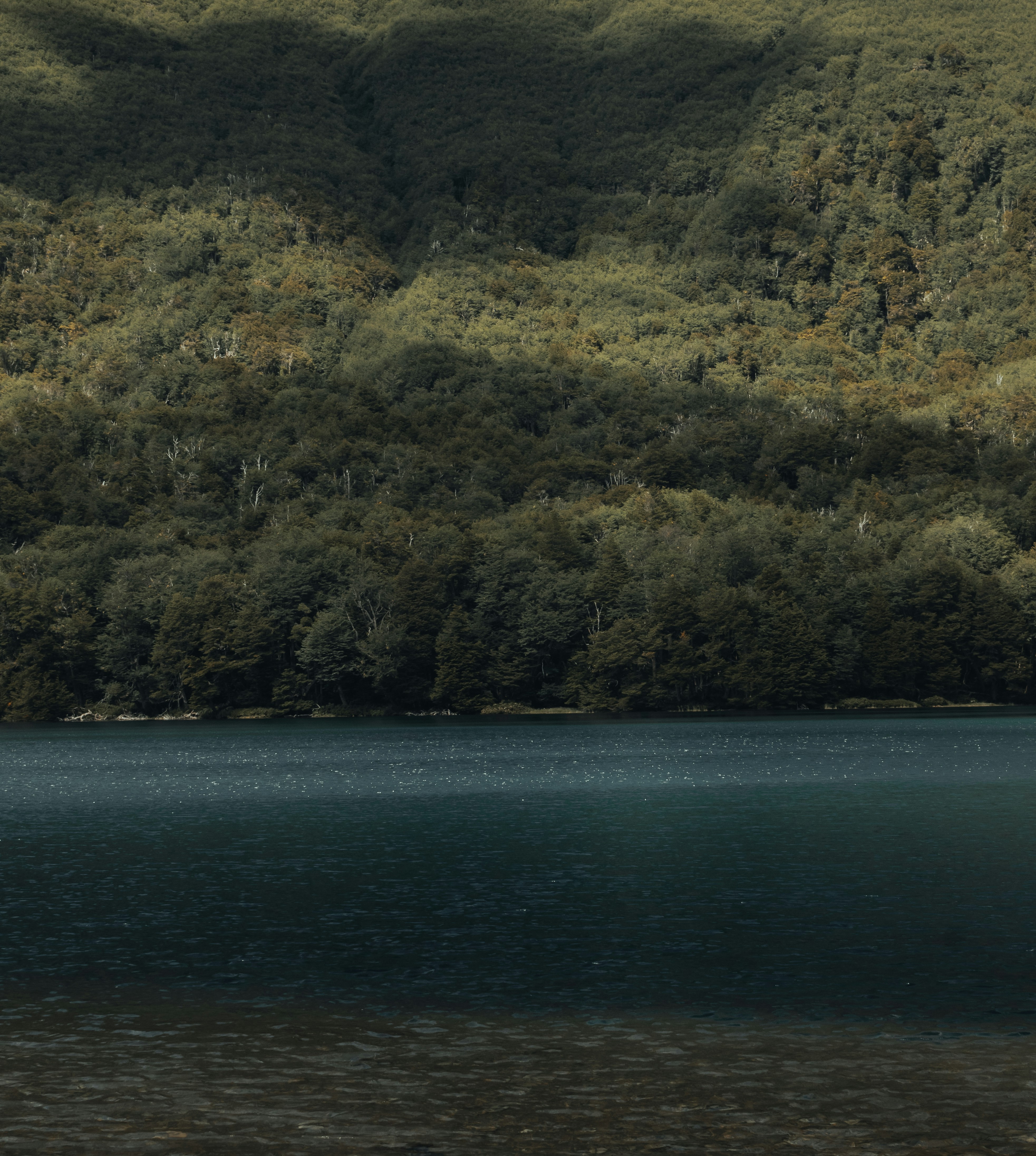 Photo by gasparzaldo