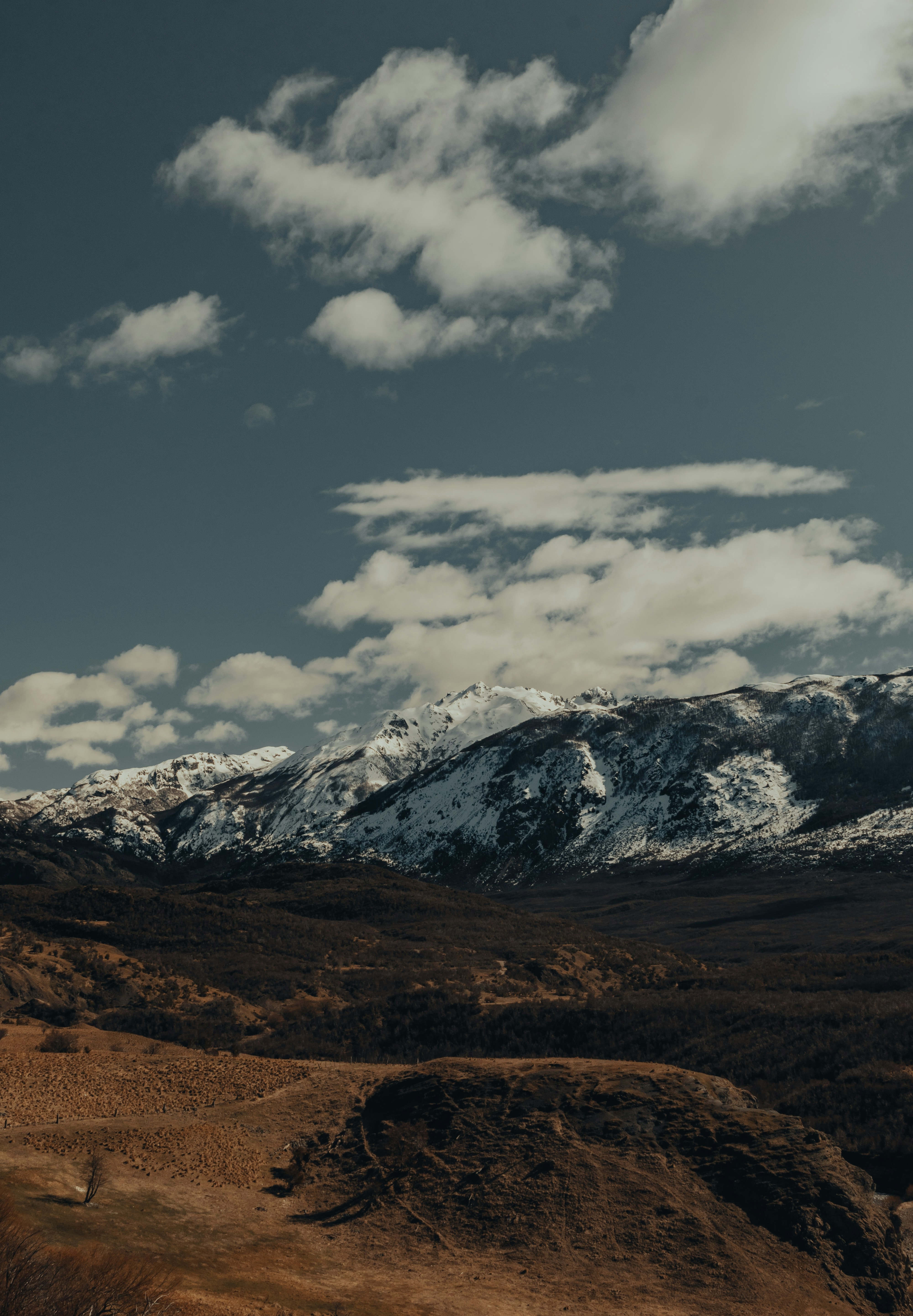 Photo by gasparzaldo