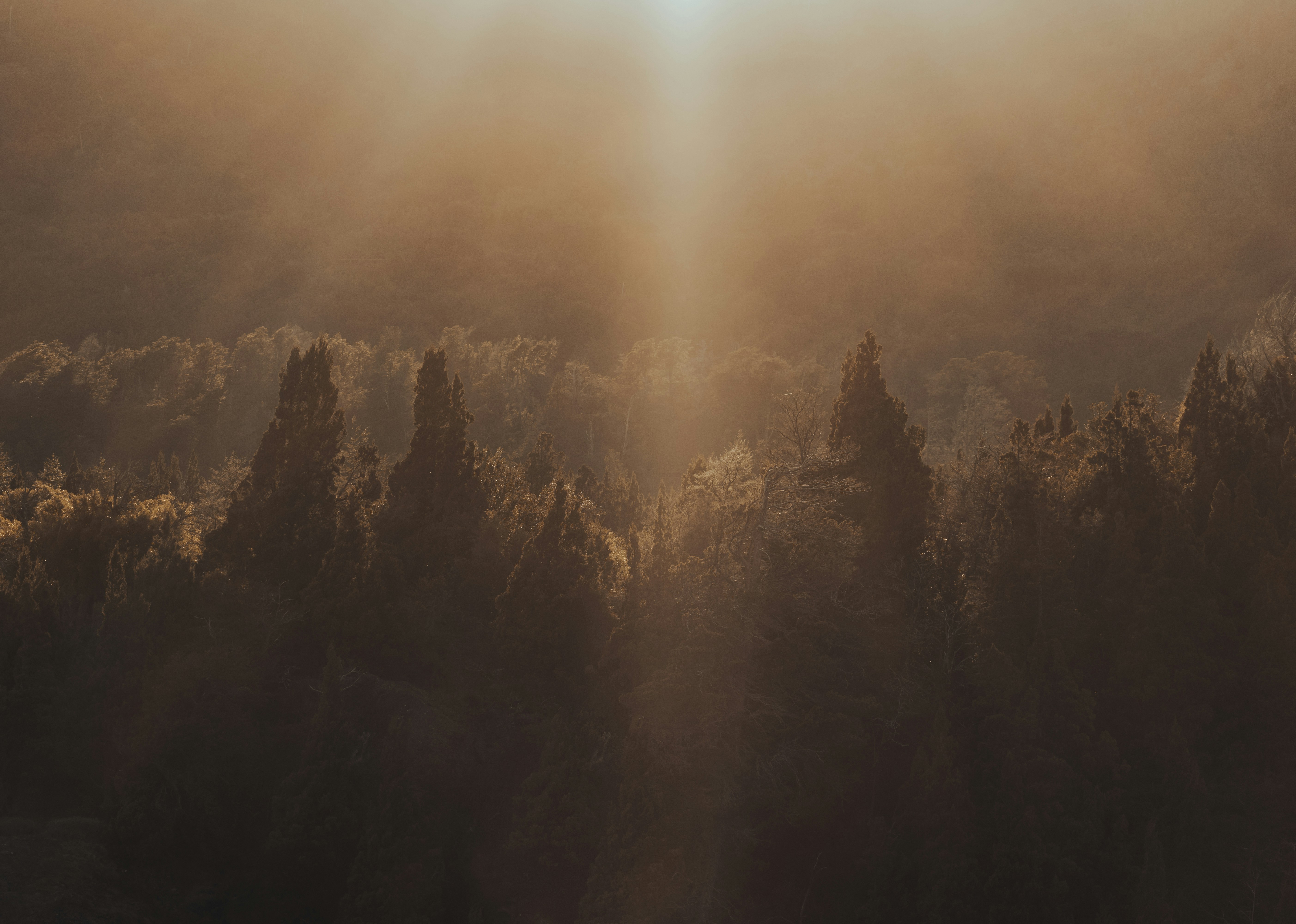 Photo by gasparzaldo