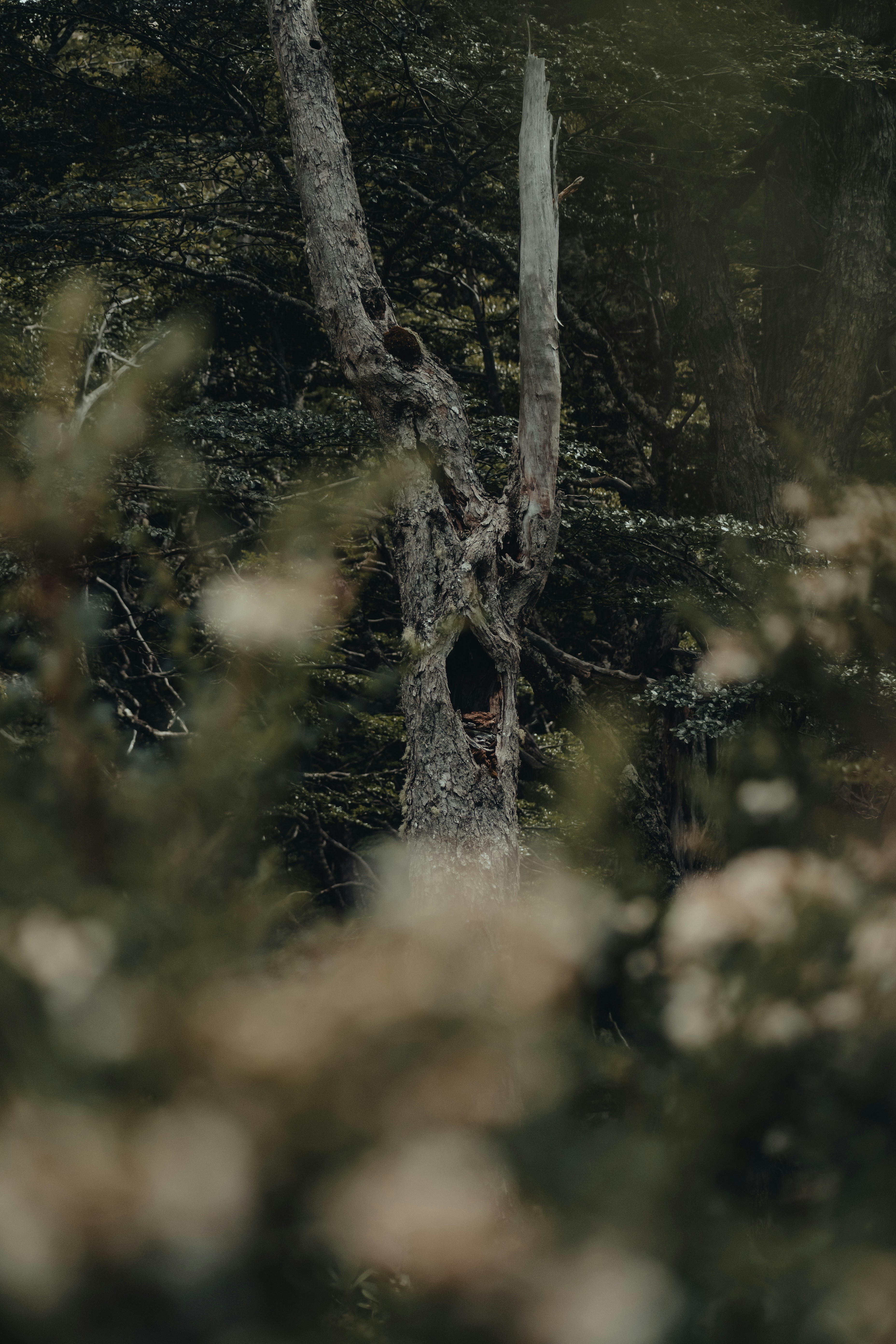 Photo by gasparzaldo