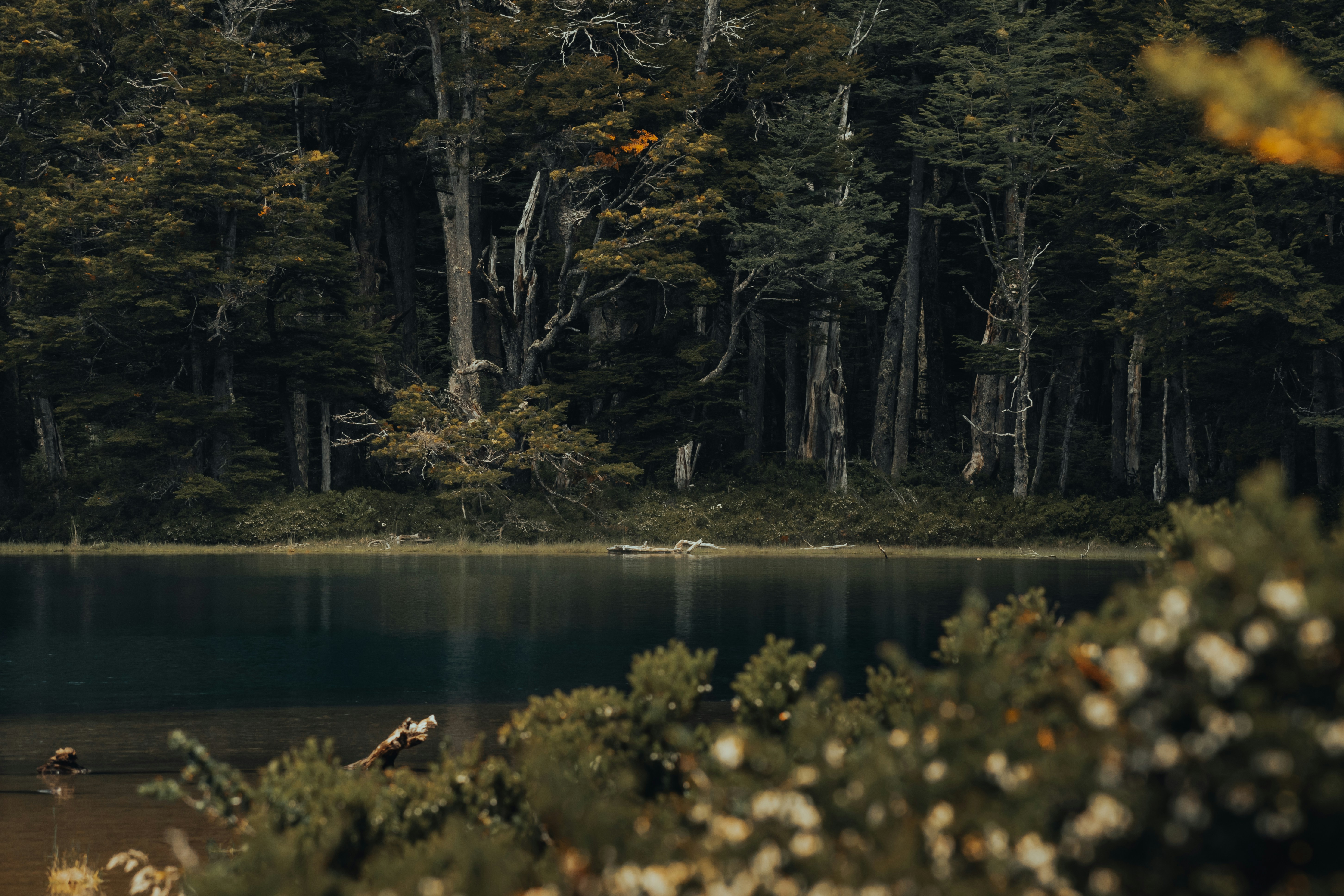 Photo by gasparzaldo