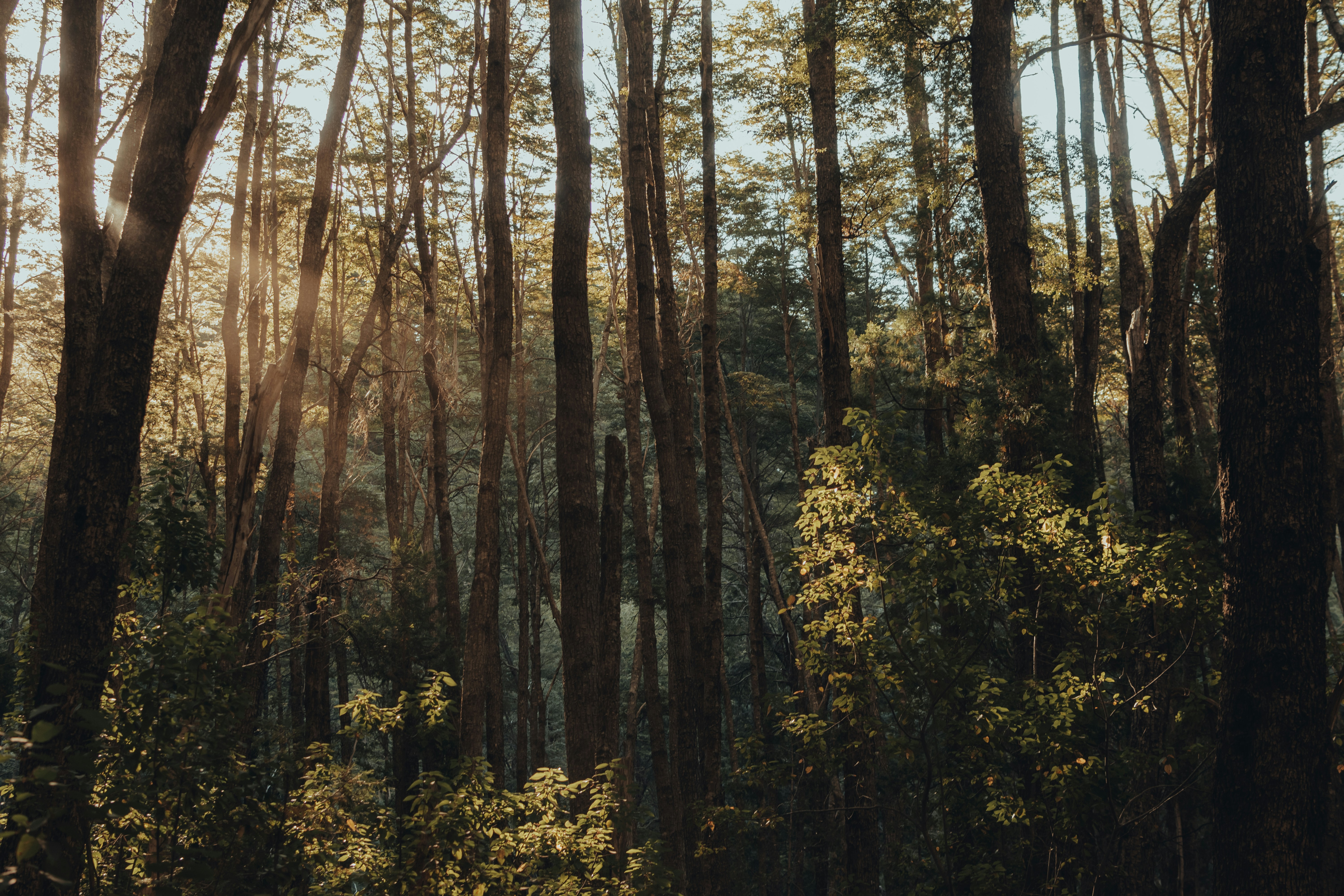 Photo by gasparzaldo