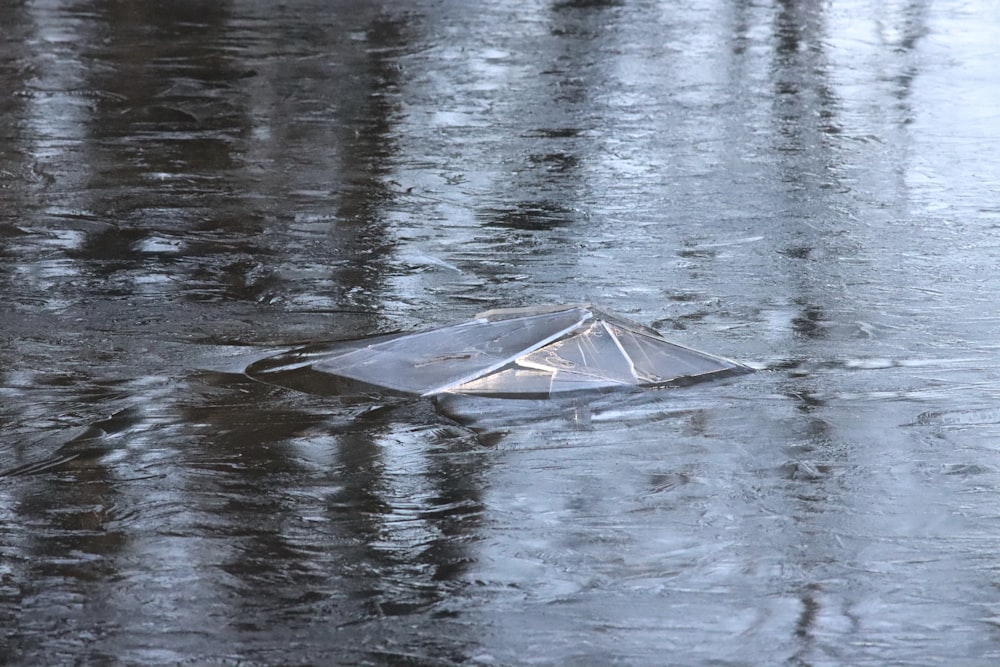 a kite floating on top of a body of water