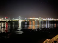 Night shot of a coal transport ship docked at the port under blue-toned lighting.