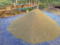 A large pile of grain, possibly paddy or rice, is heaped on a blue tarp spread on the ground. The area is outdoors, with greenery and a wooden structure in the background. A white container is placed next to the pile.