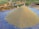A large pile of grain, possibly paddy or rice, is heaped on a blue tarp spread on the ground. The area is outdoors, with greenery and a wooden structure in the background. A white container is placed next to the pile.