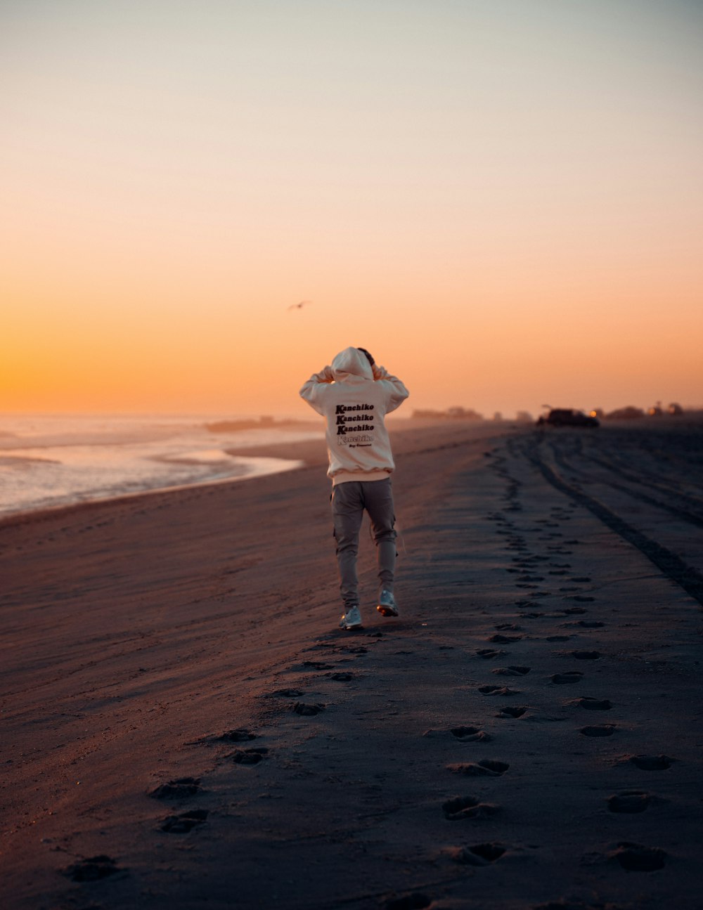 a person standing on a beach near the ocean