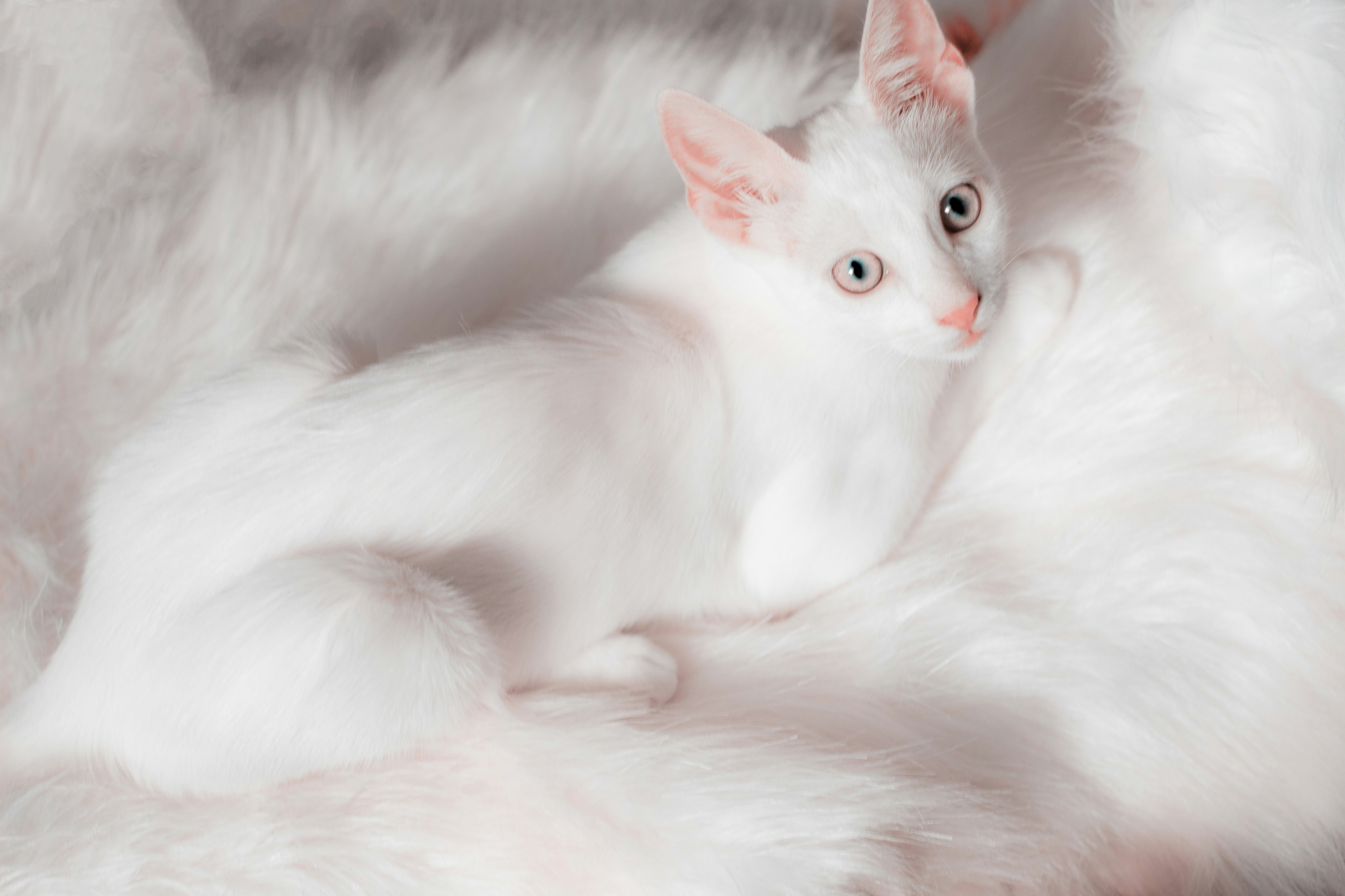 Clean minimalist design