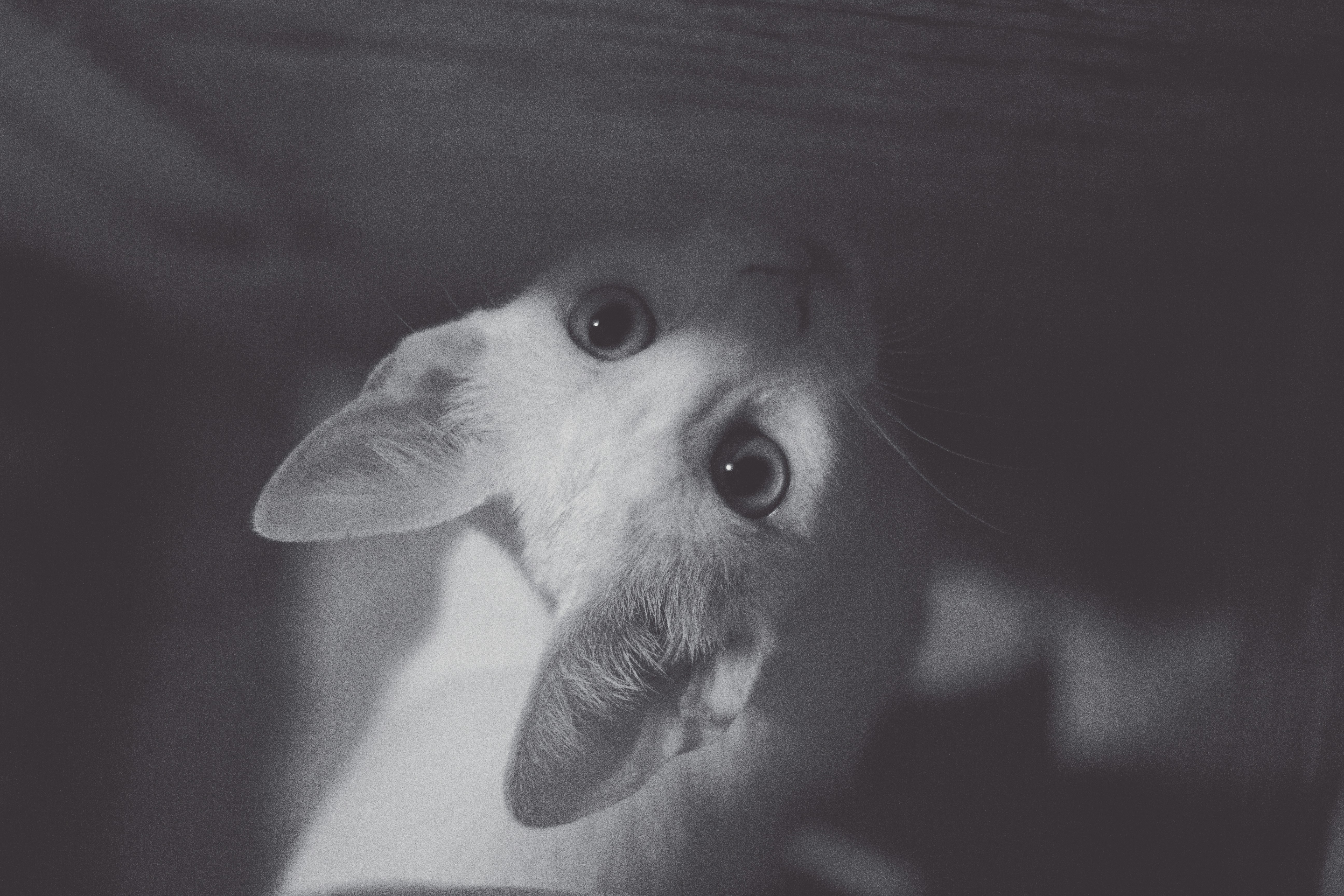 Photo by mezidi_zineb