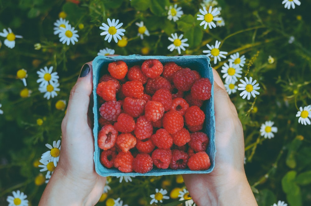 a person holding a blue bowl filled with raspberries