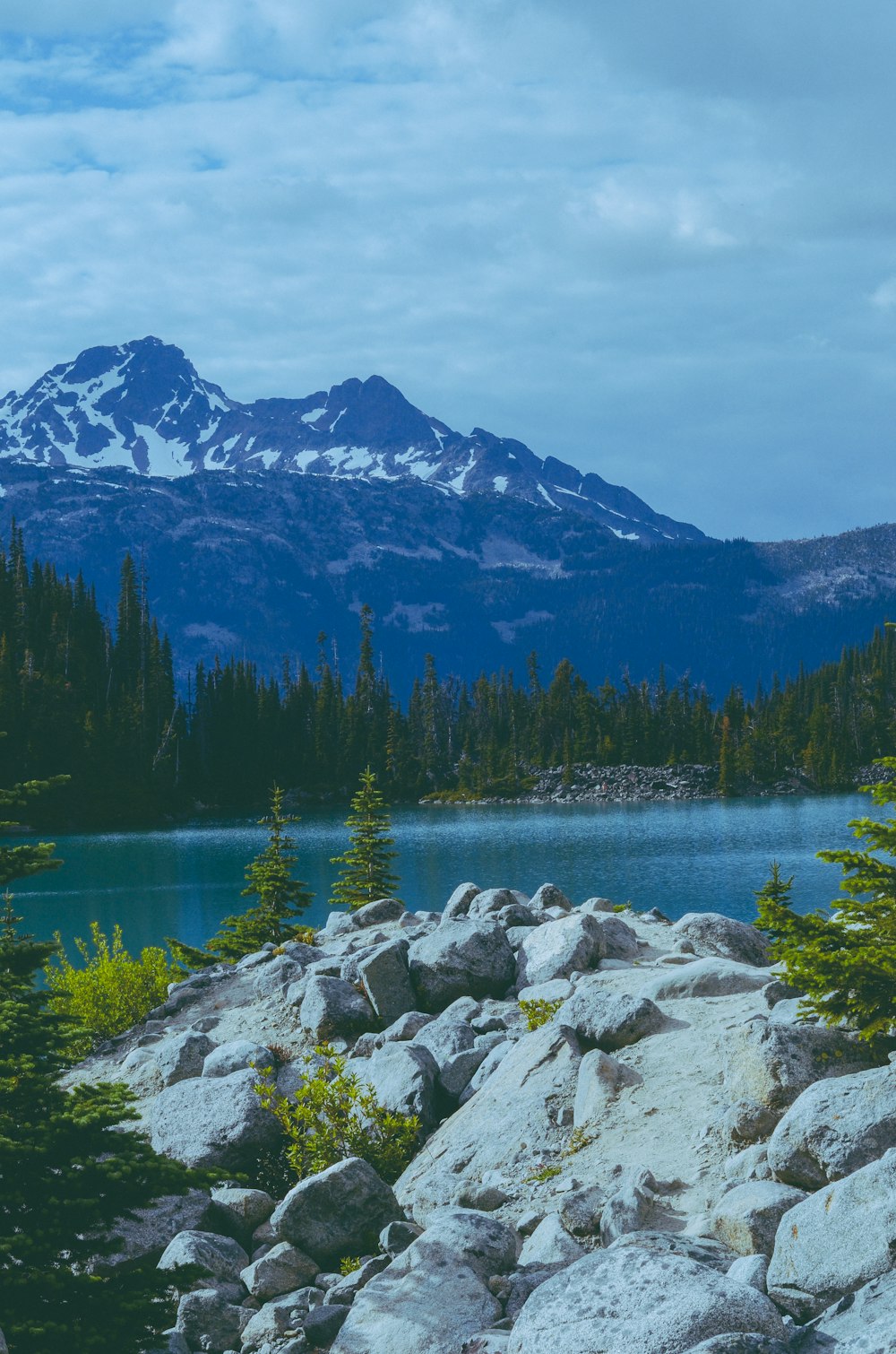 a view of a mountain and a lake