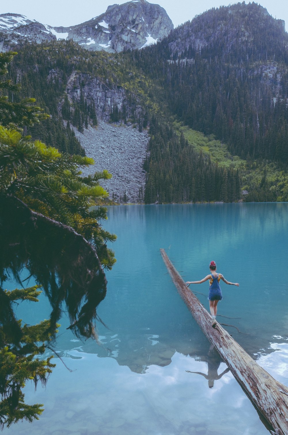a person standing on a log in a lake