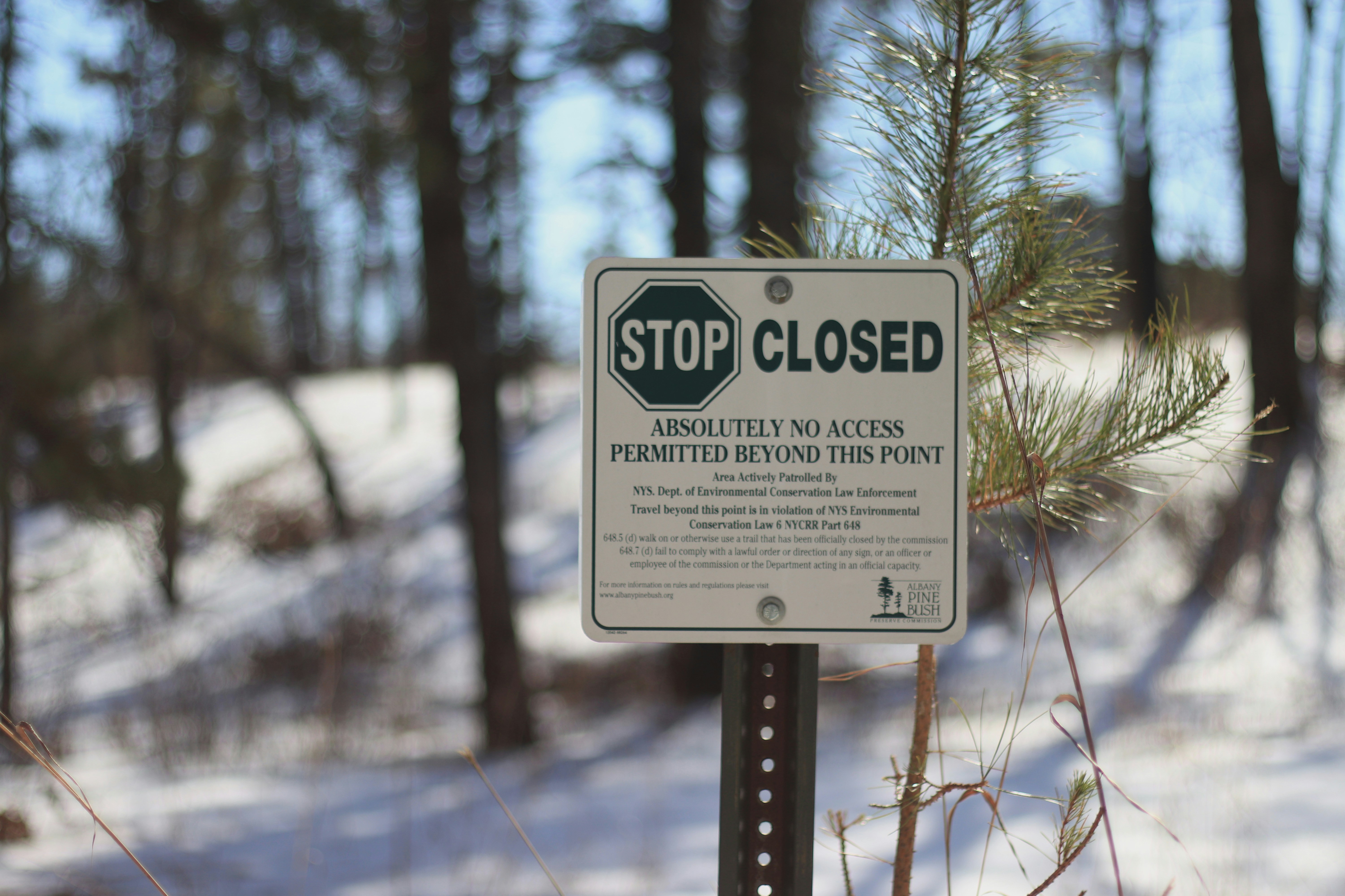 a sign is posted on a pole in the snow