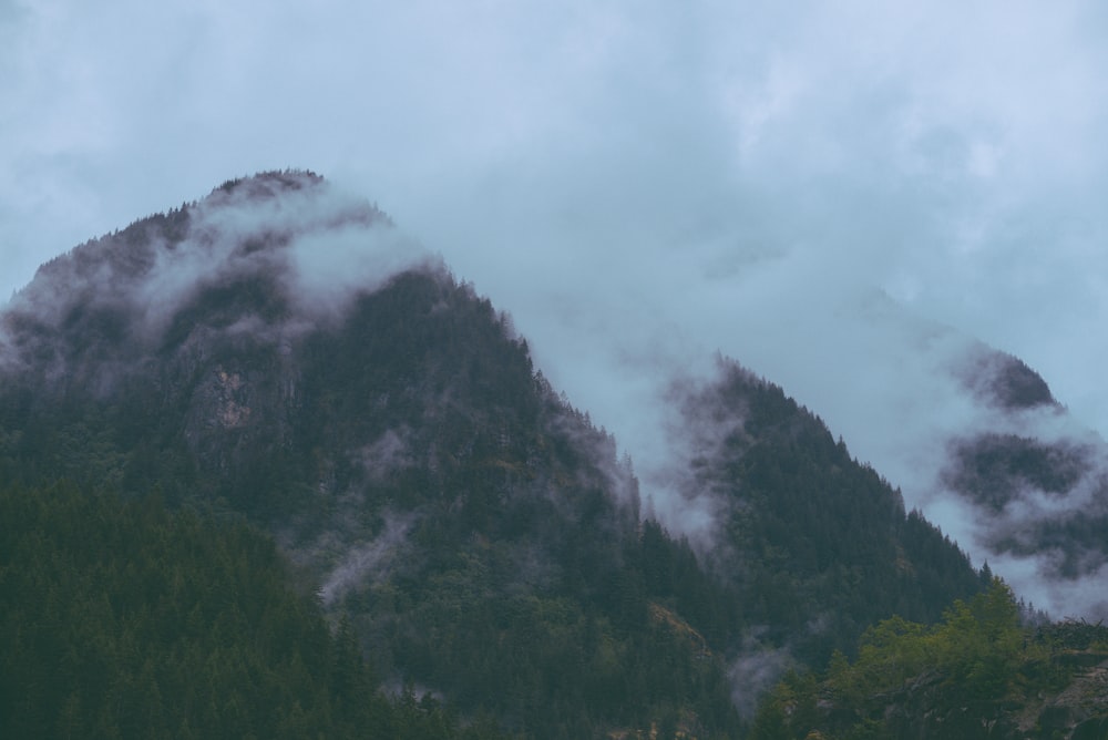 a mountain covered in clouds and trees on a cloudy day