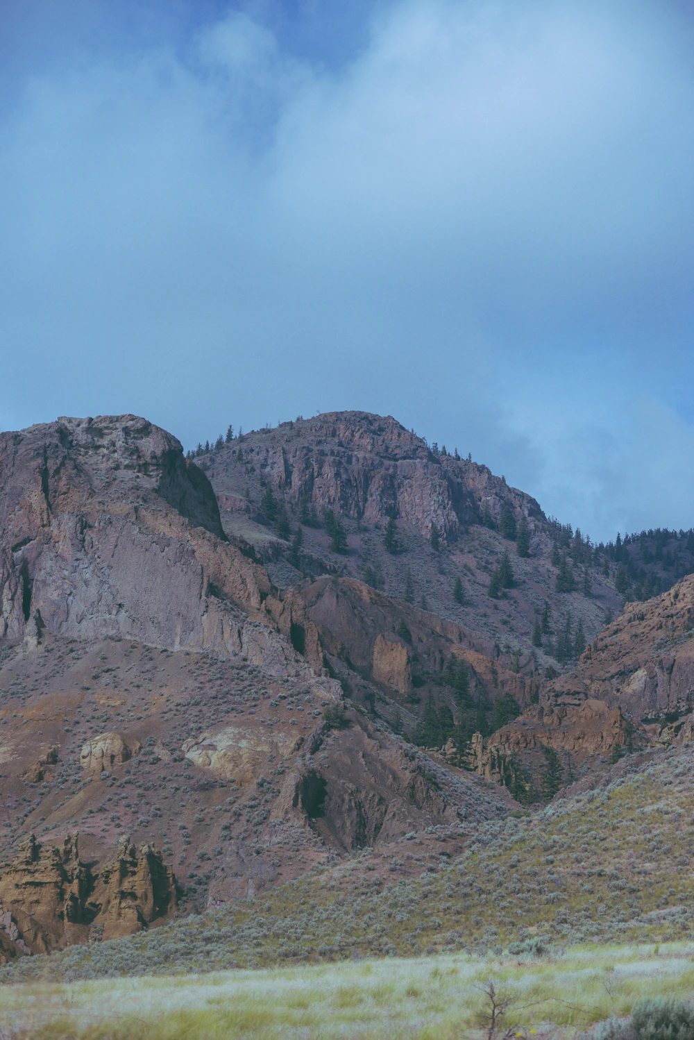 Dry hills and trees near Kamloops BC