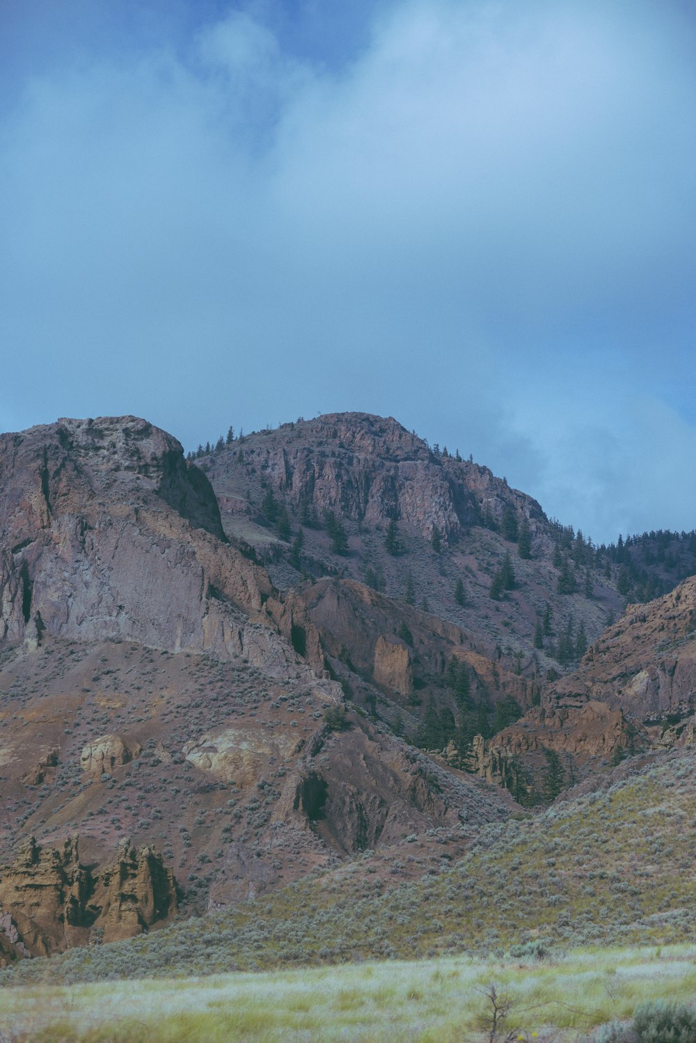 a mountain with a few trees on top of it