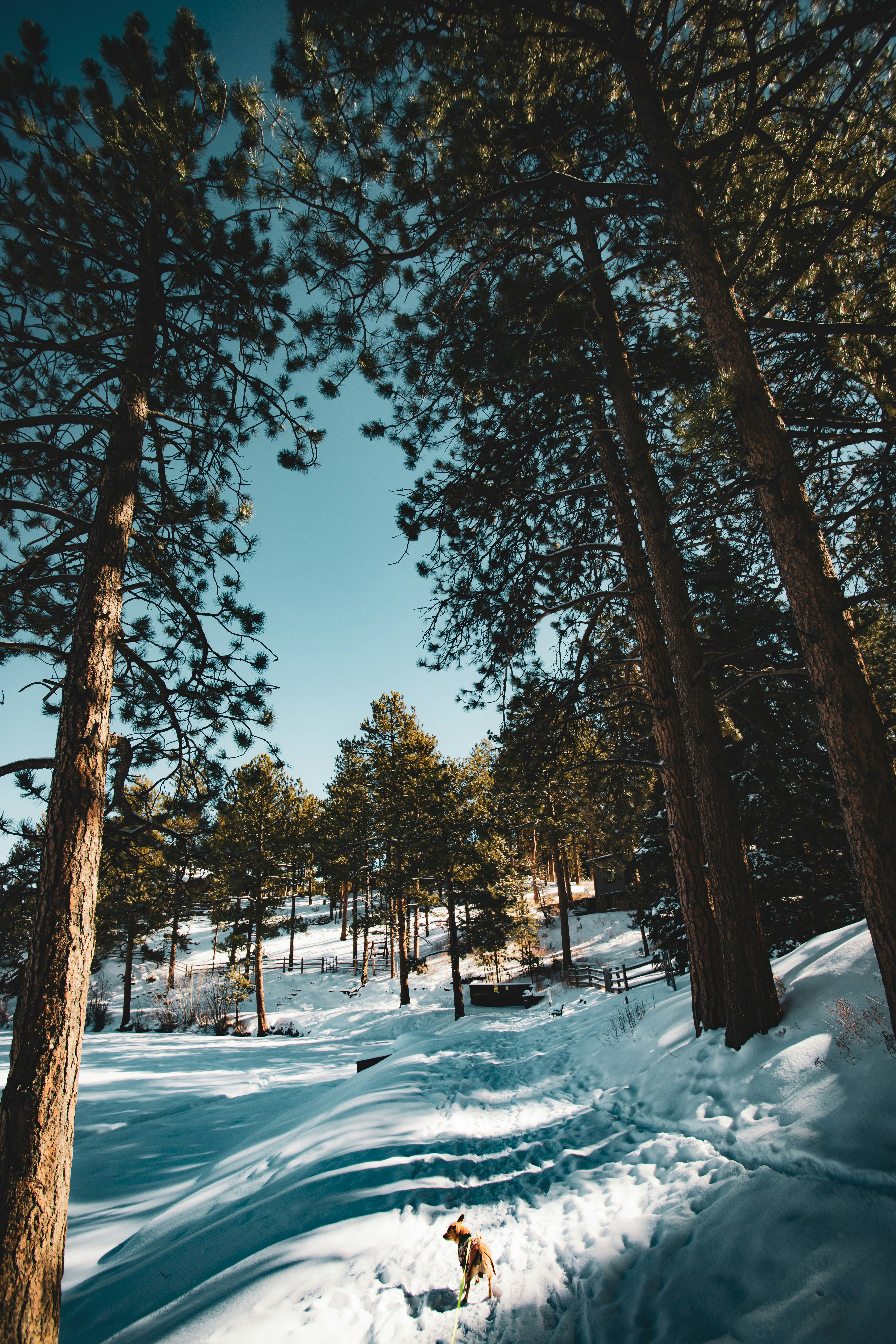 Photo by photosoflogan