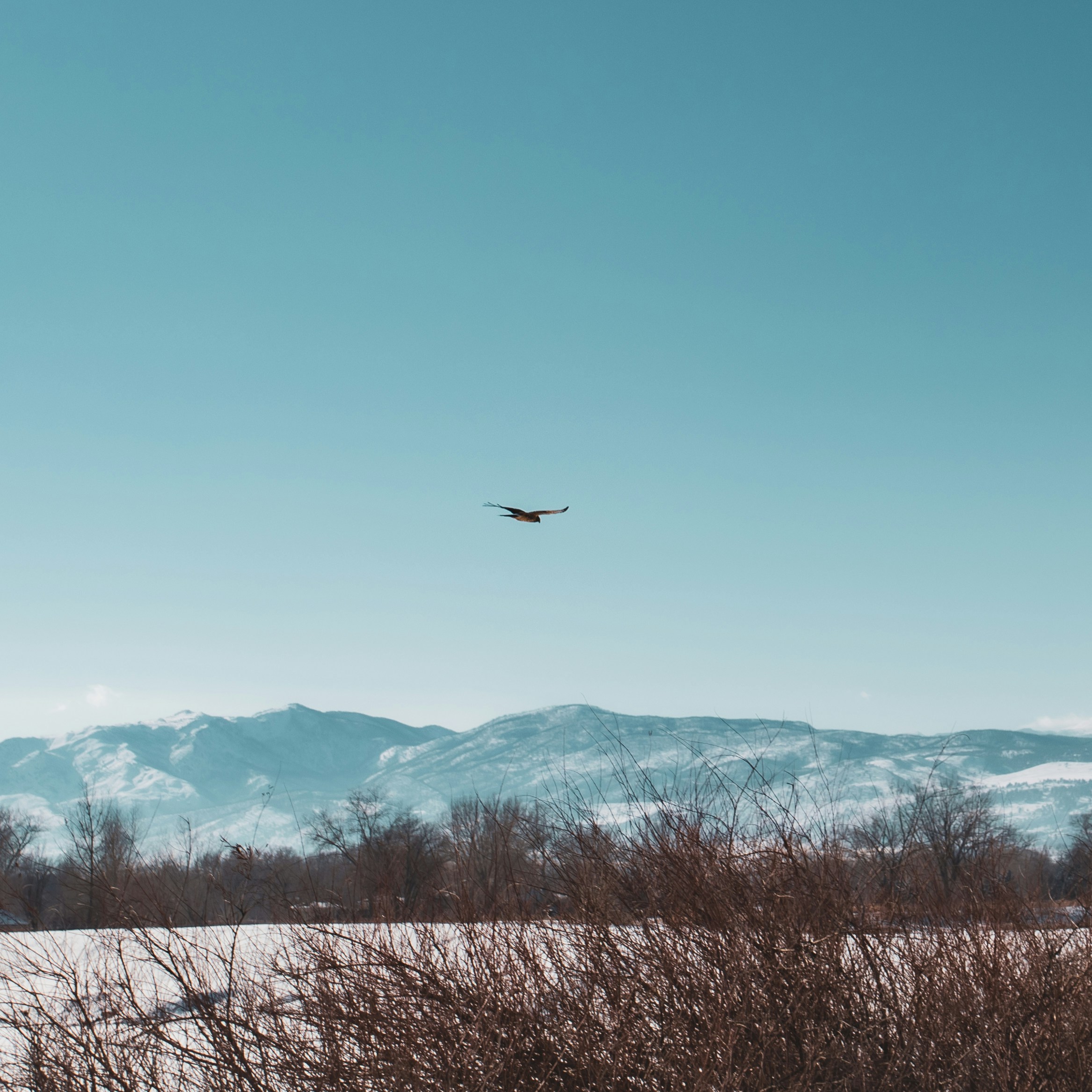 Photo by photosoflogan