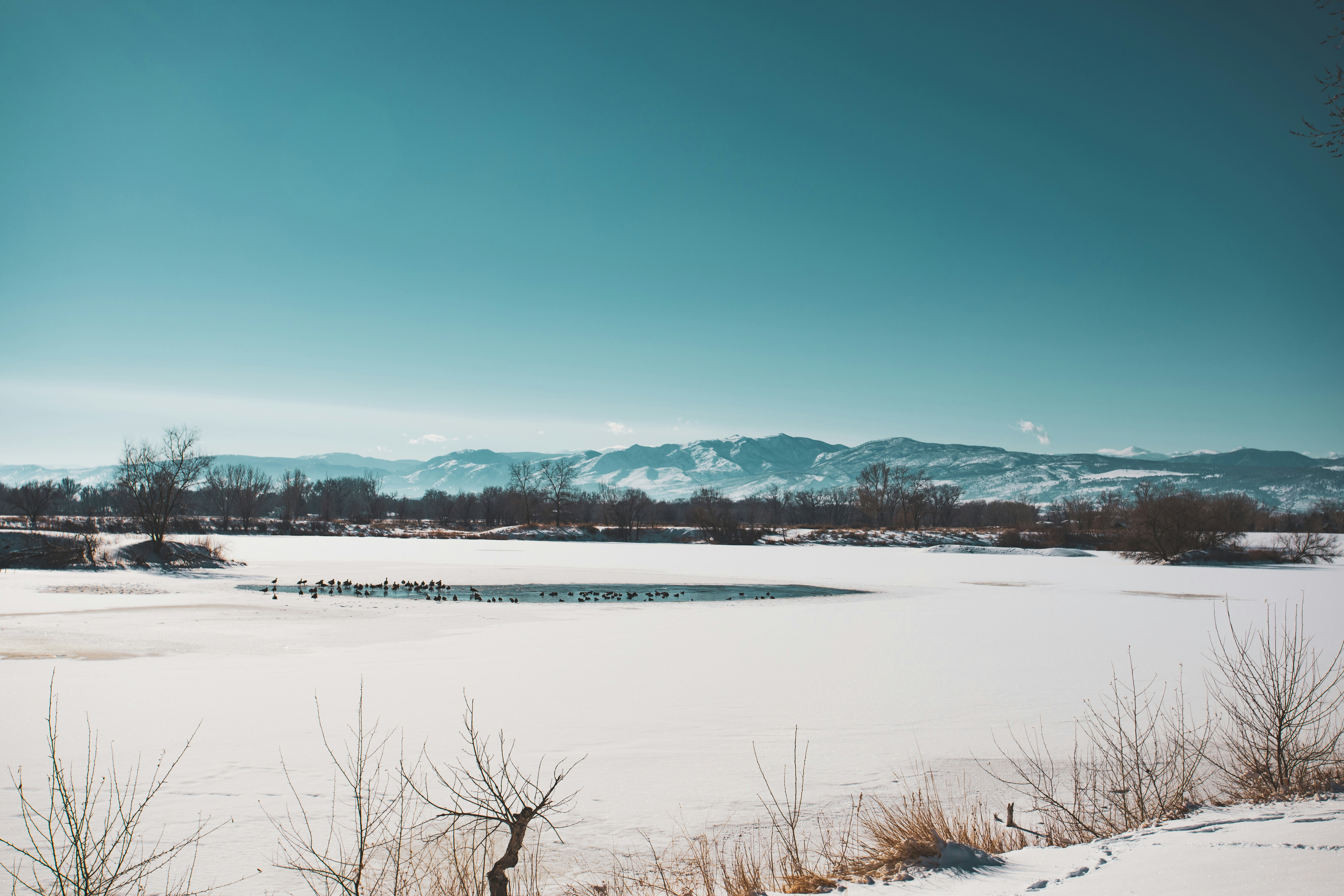 Photo by photosoflogan