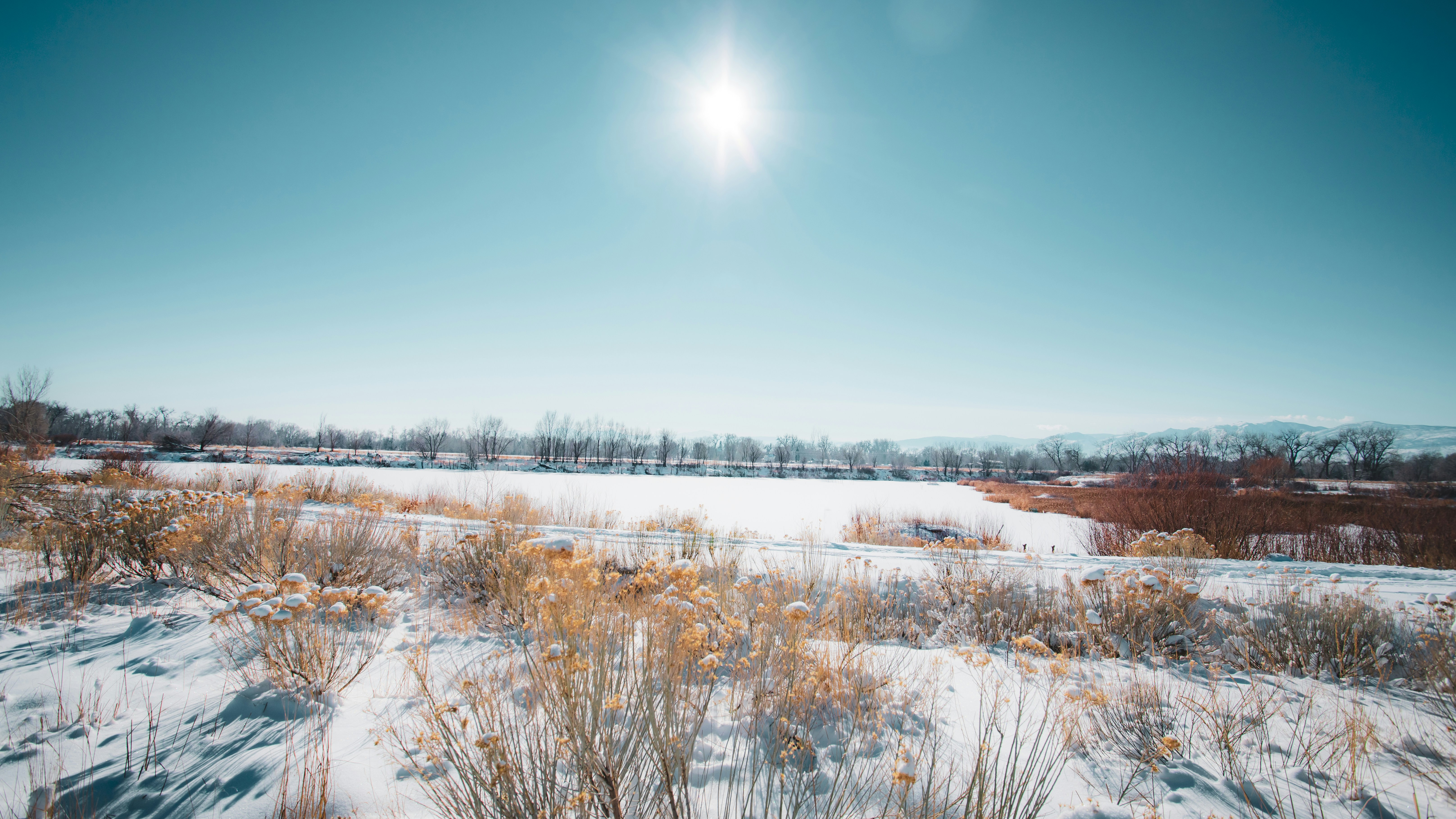 Photo by photosoflogan