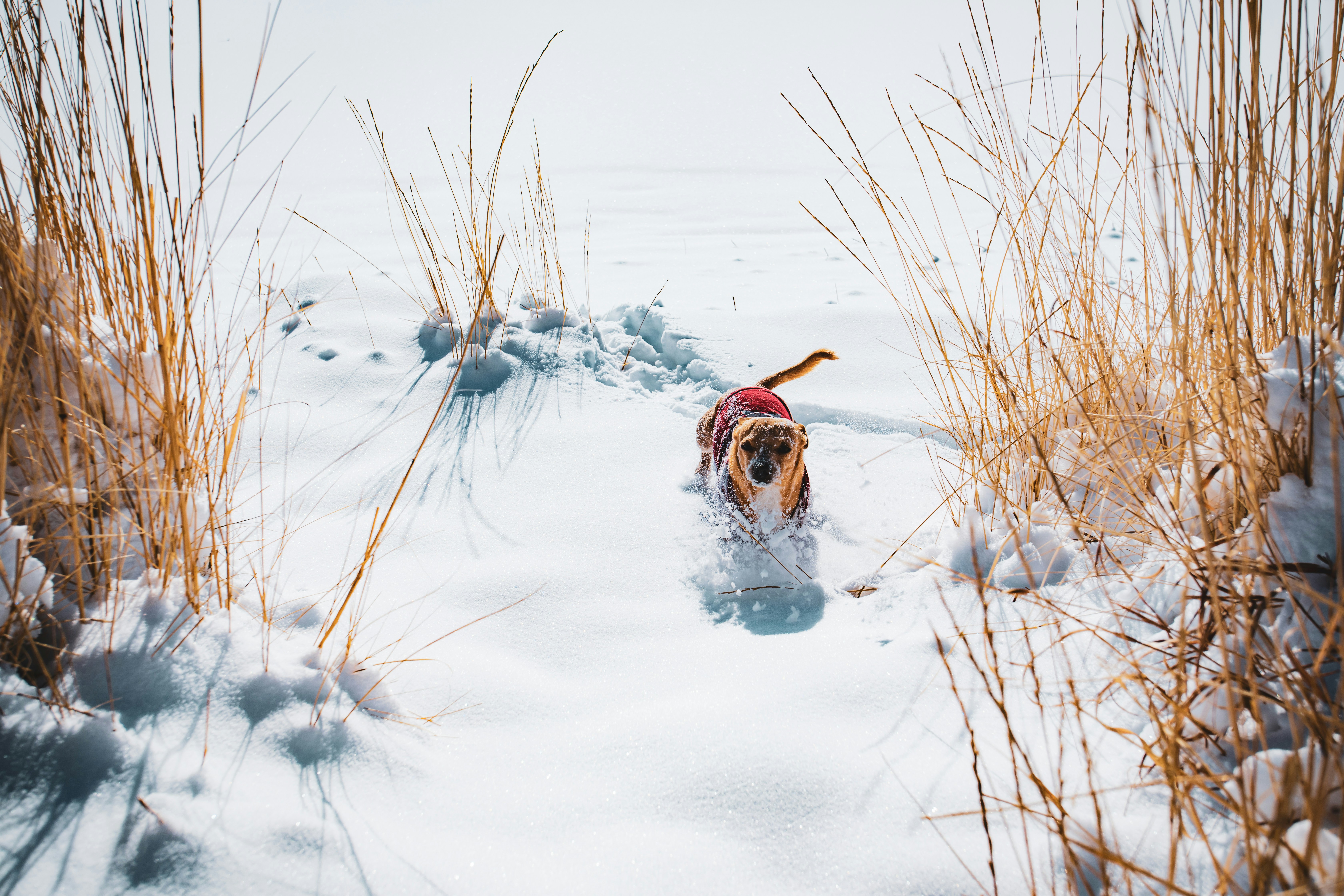 Photo by photosoflogan