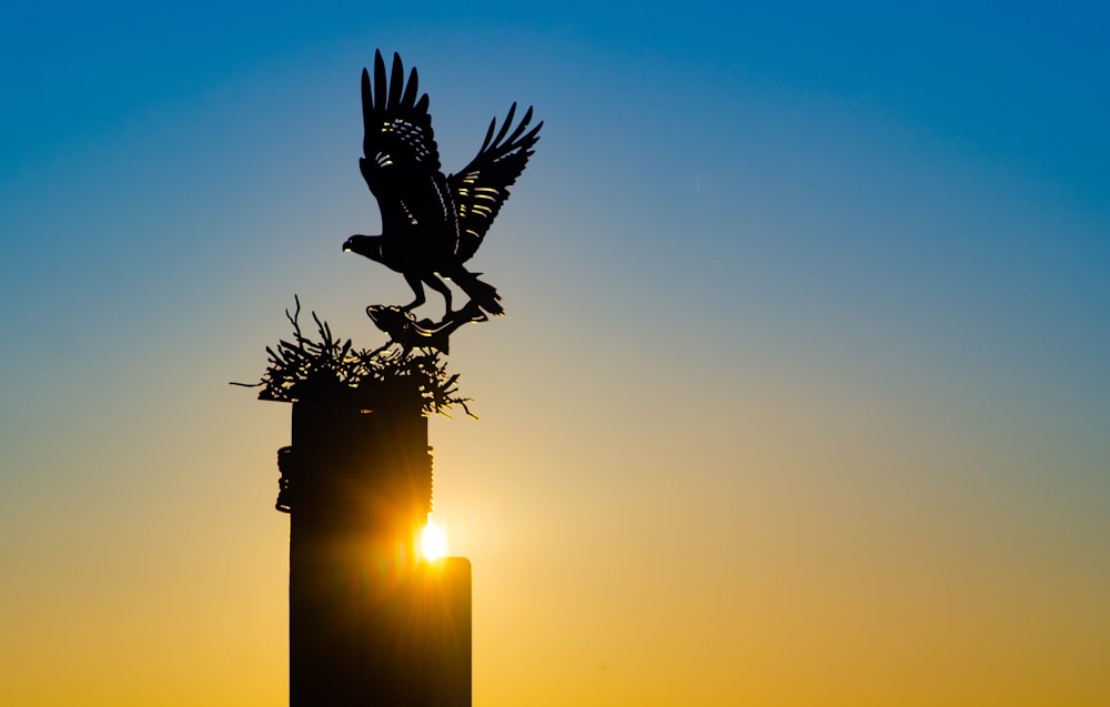 a statue of a bird on top of a building