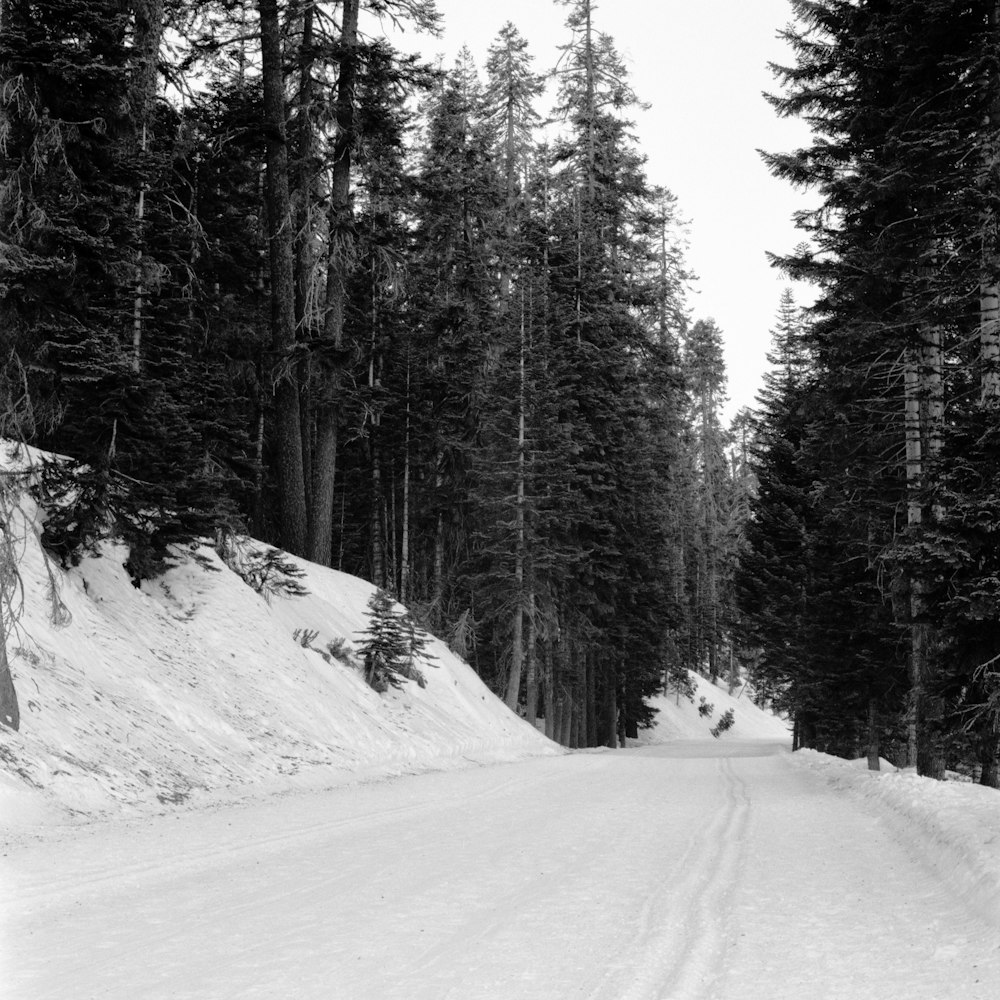 a black and white photo of a snow covered road