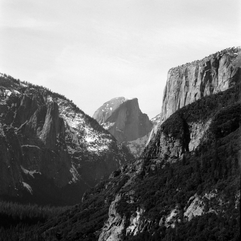 a black and white photo of mountains and trees