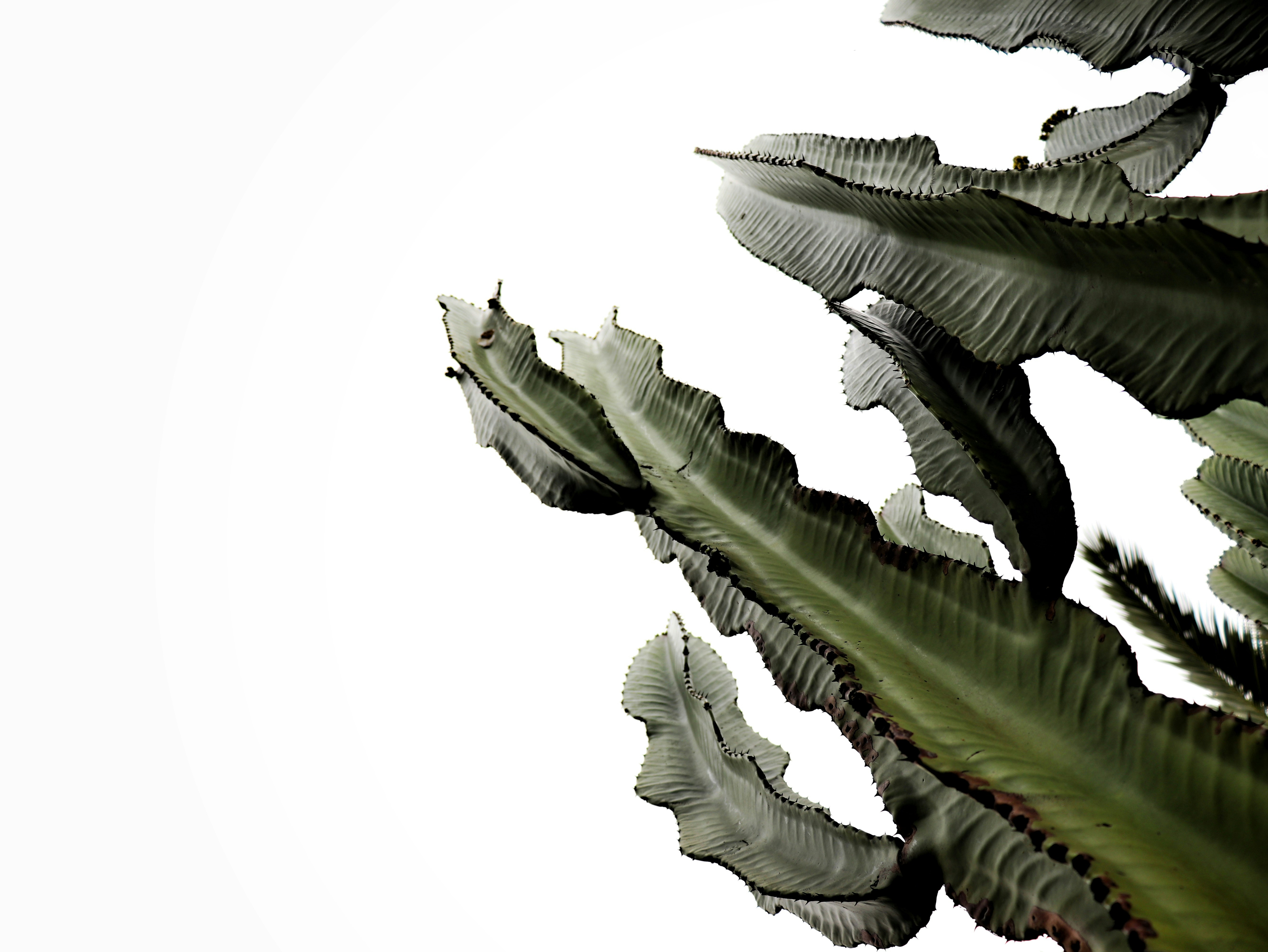 Photo by paulorobles